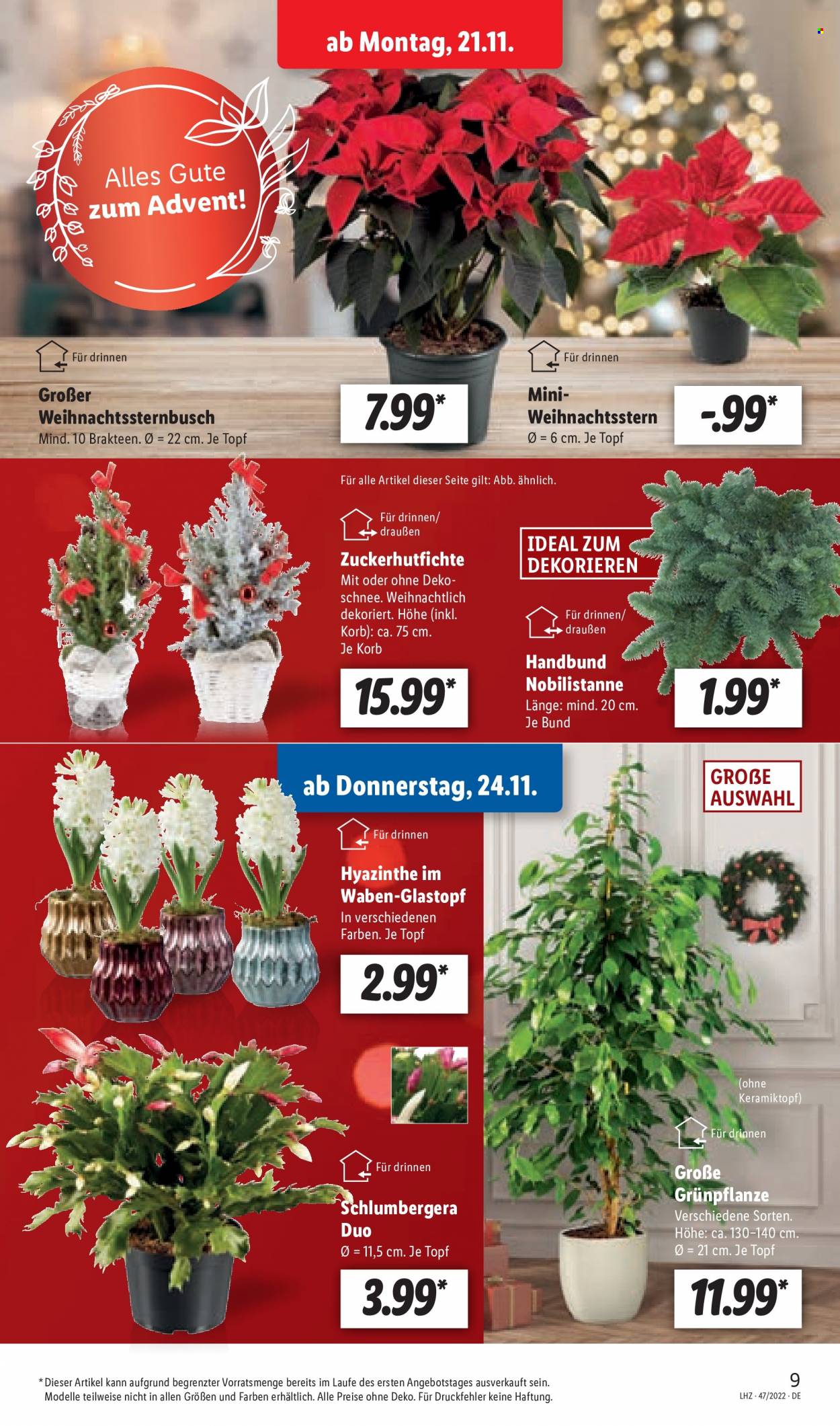 Lidl Prospekte  - 21.11.2022 - 26.11.2022. Seite 37