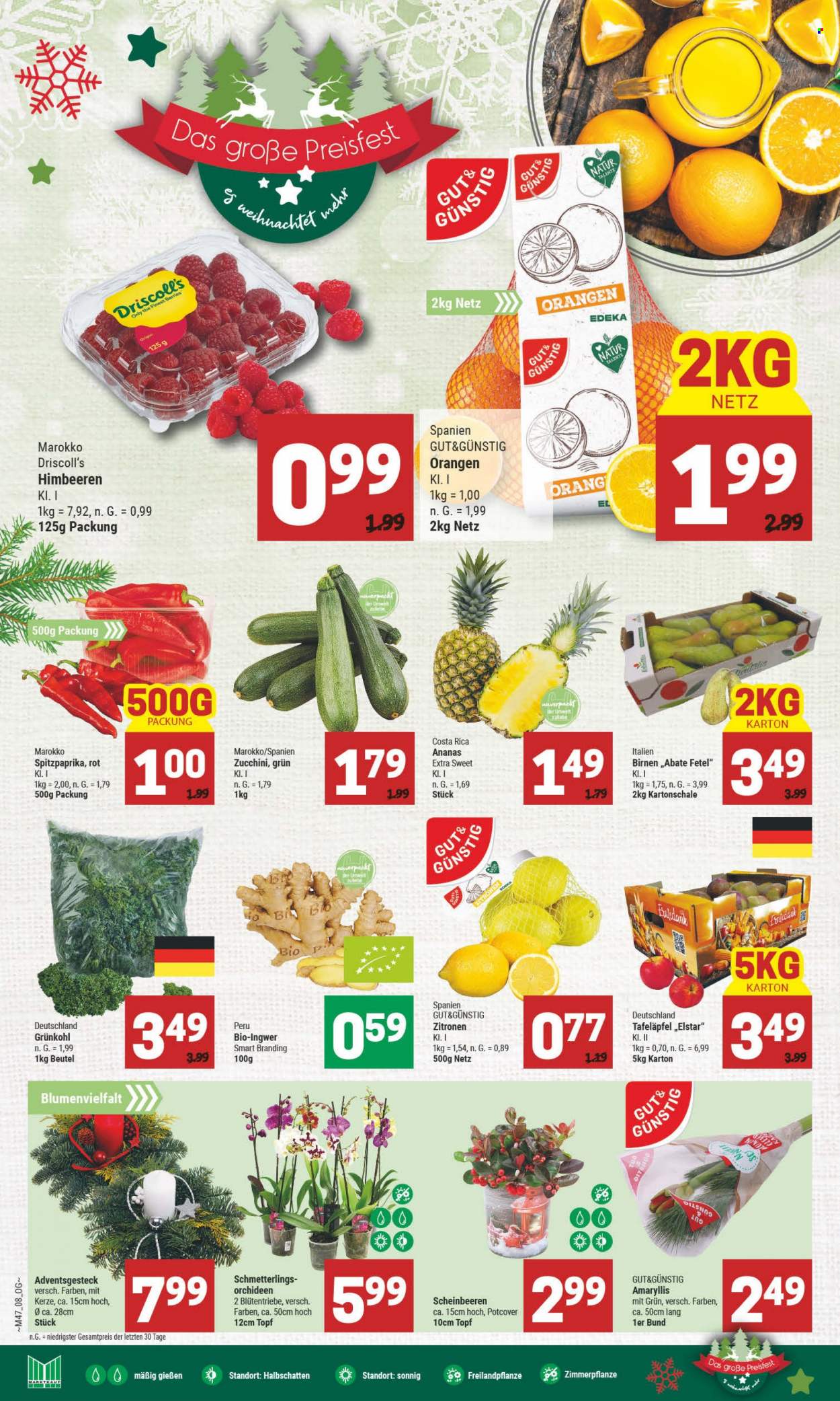 Marktkauf Prospekte  - 21.11.2022 - 26.11.2022. Seite 8