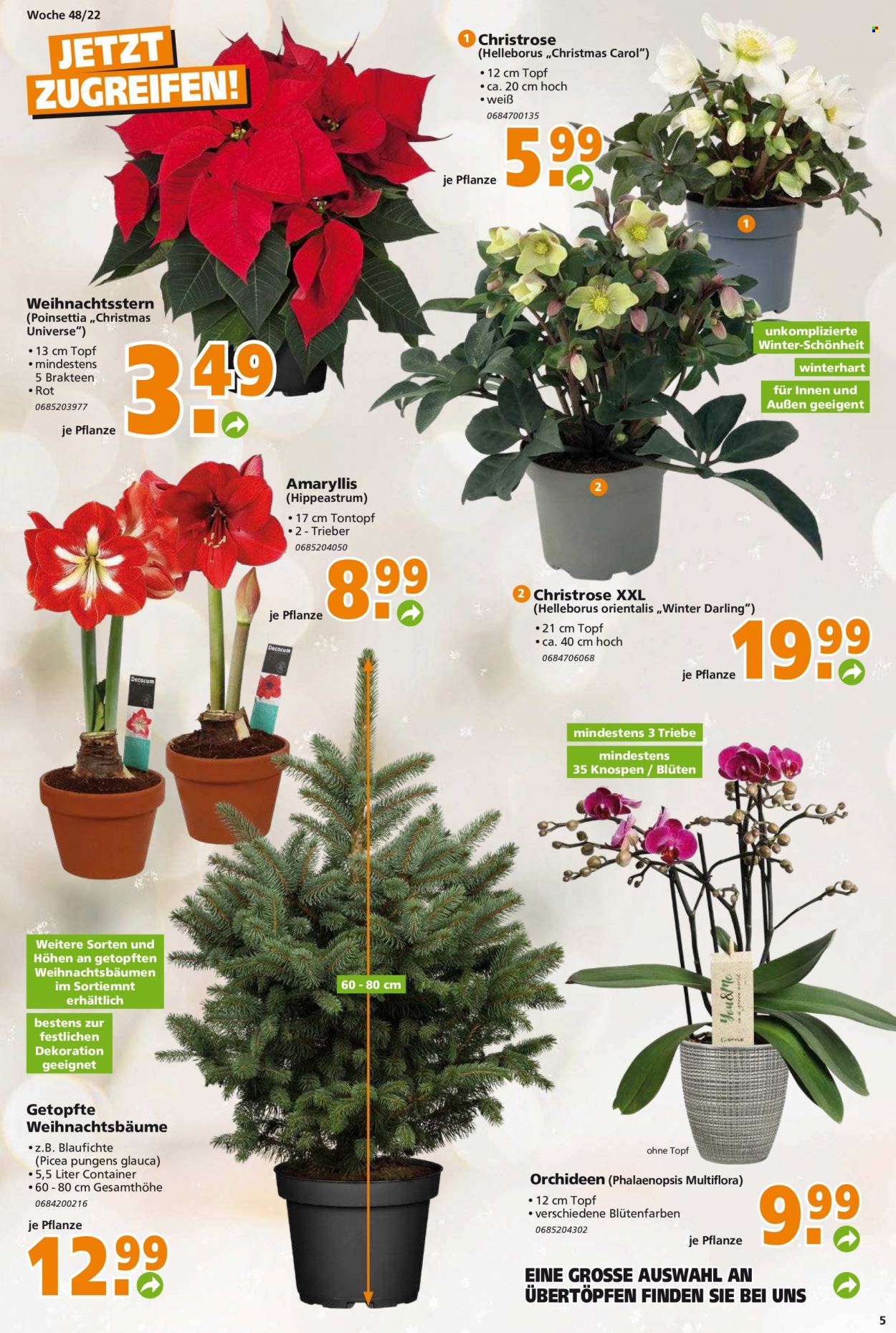 Globus Baumarkt Prospekte  - 28.11.2022 - 3.12.2022. Seite 5