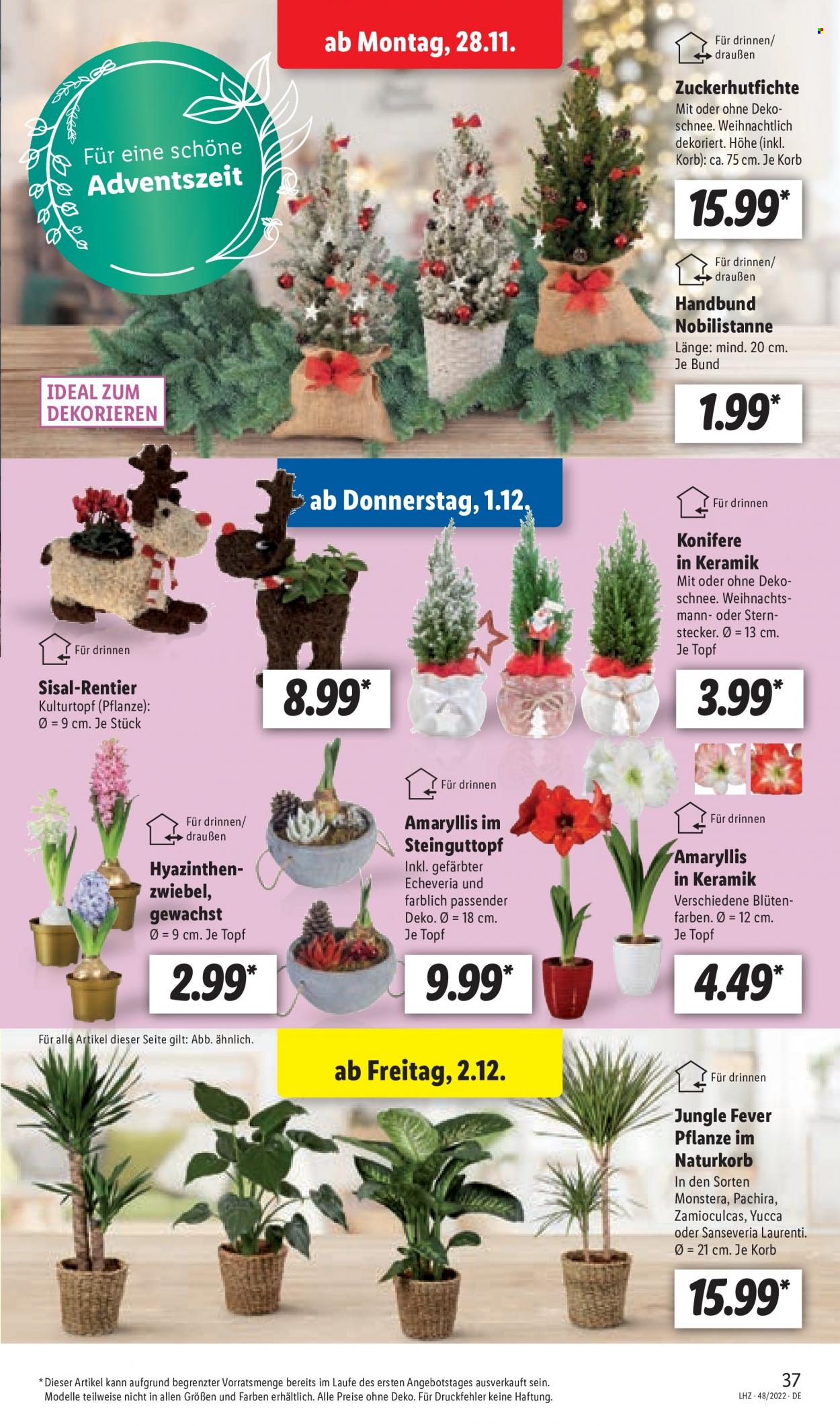 Lidl Prospekte  - 28.11.2022 - 3.12.2022. Seite 37