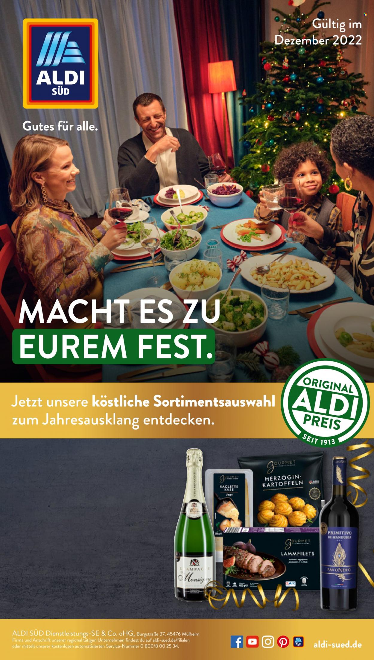 ALDI SÜD Prospekte  - 1.12.2022 - 31.12.2022. Seite 1
