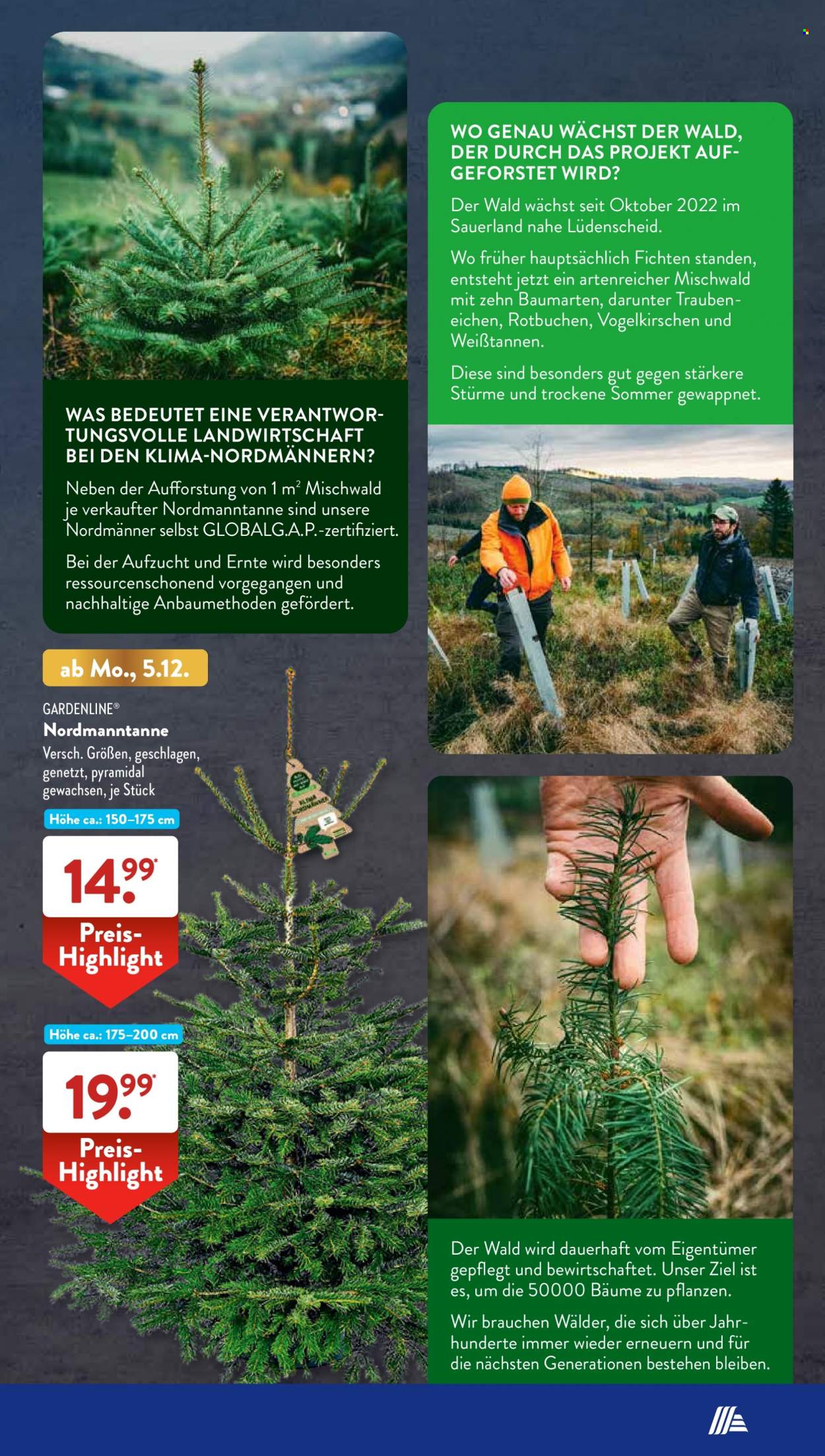 ALDI SÜD Prospekte  - 5.12.2022 - 10.12.2022. Seite 53