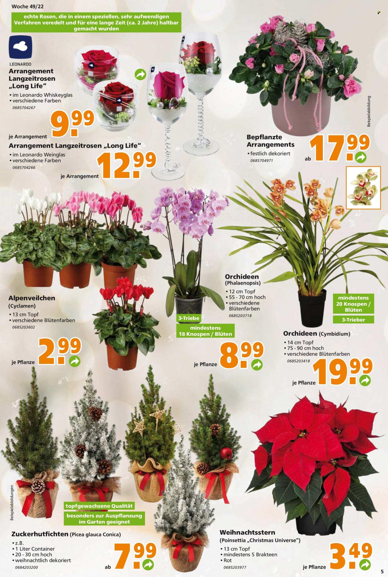 Globus Baumarkt Prospekte  - 5.12.2022 - 10.12.2022. Seite 5