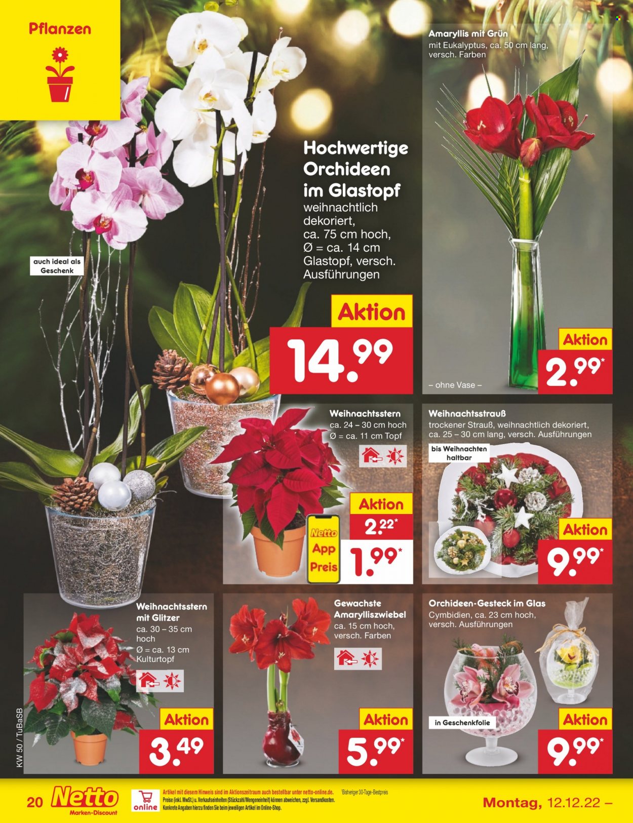 Netto Marken-Discount Prospekte  - 12.12.2022 - 17.12.2022. Seite 20