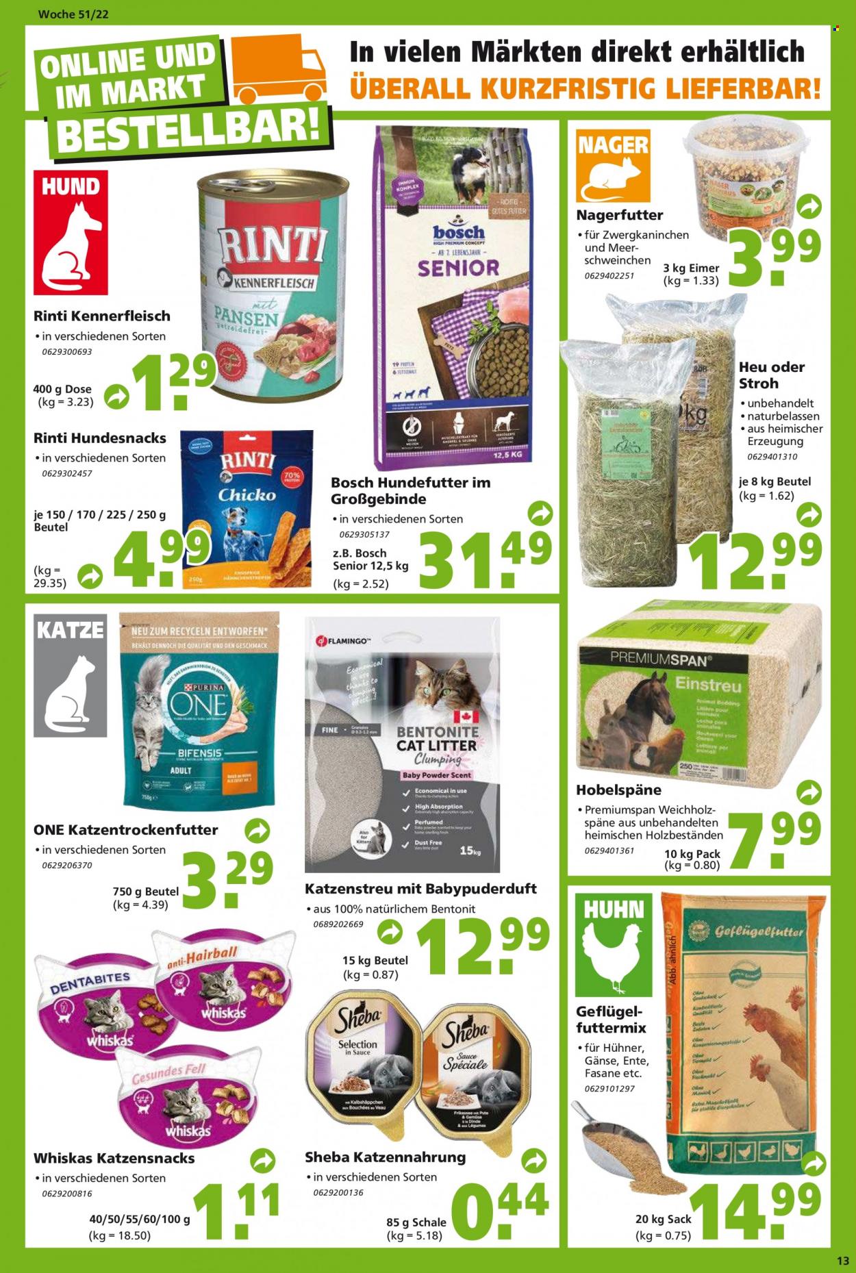 Globus Baumarkt Prospekte  - 19.12.2022 - 24.12.2022. Seite 13