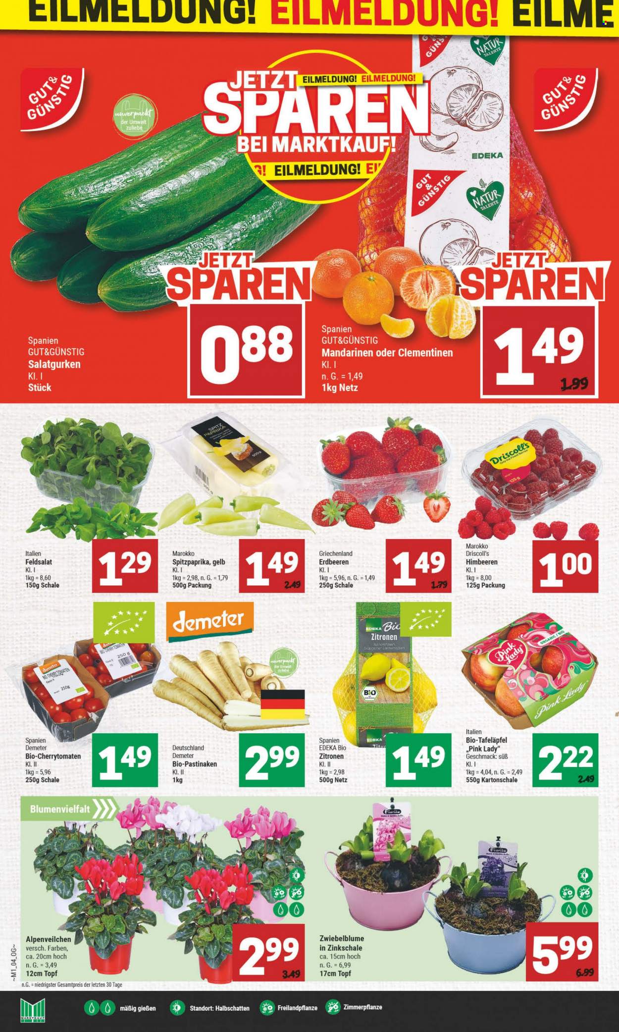 Marktkauf Prospekte  - 2.01.2023 - 7.01.2023. Seite 4