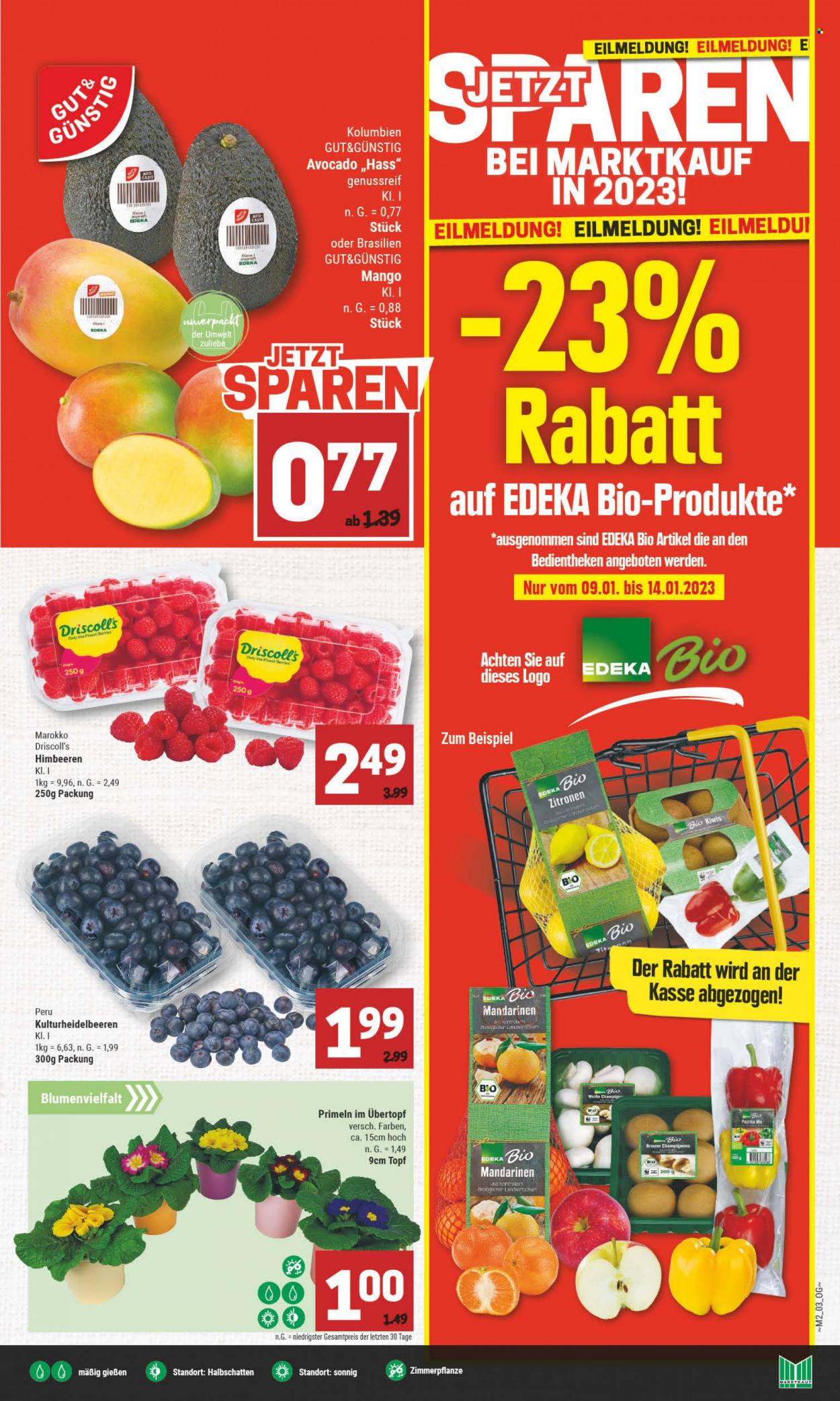 Marktkauf Prospekte  - 9.01.2023 - 14.01.2023. Seite 3
