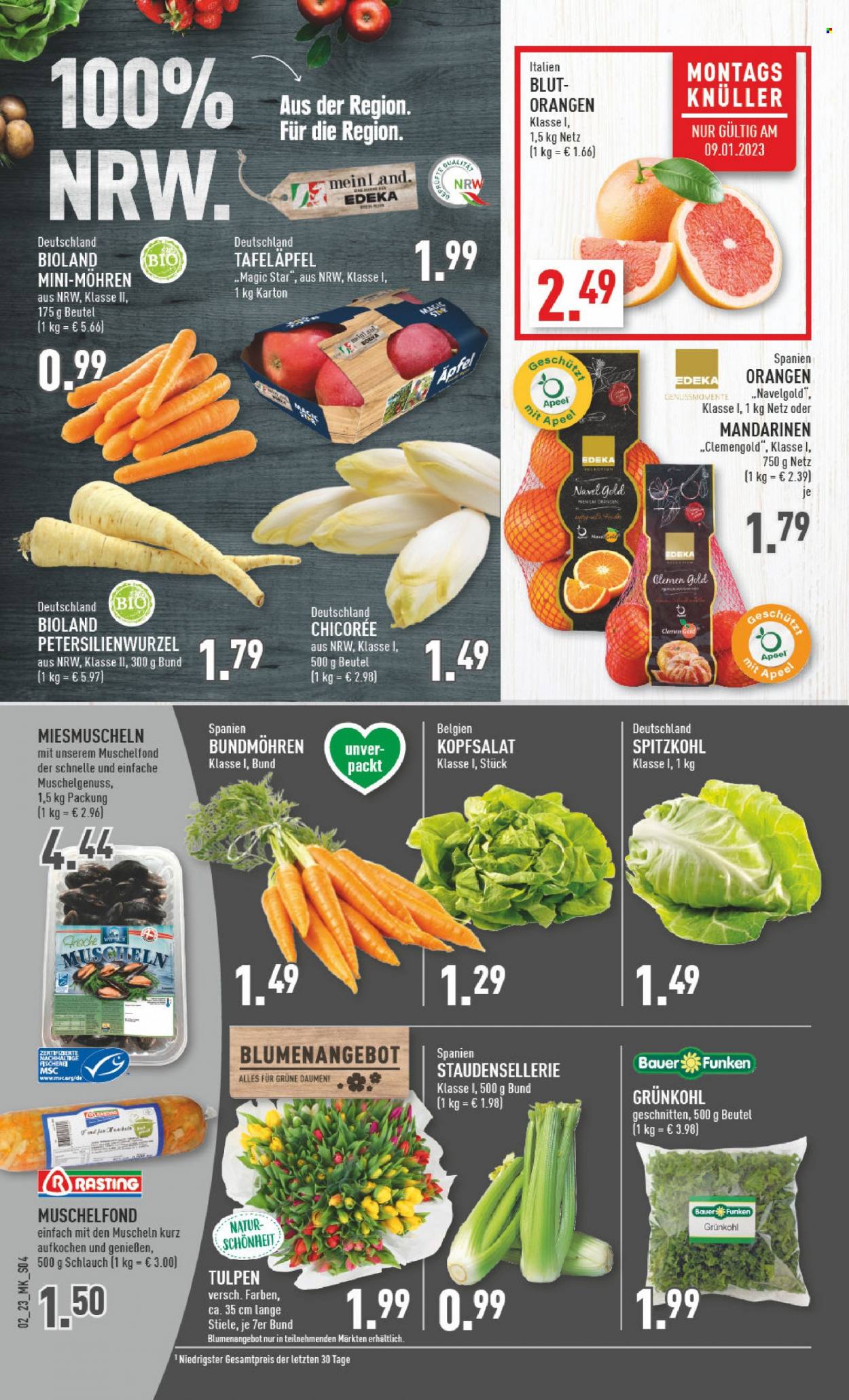 Marktkauf Prospekte  - 9.01.2023 - 14.01.2023. Seite 4