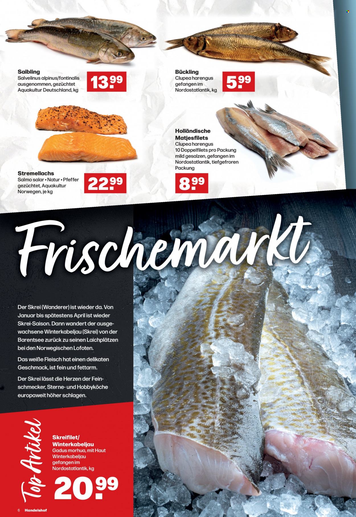 Handelshof Prospekte  - 19.01.2023 - 25.01.2023. Seite 6