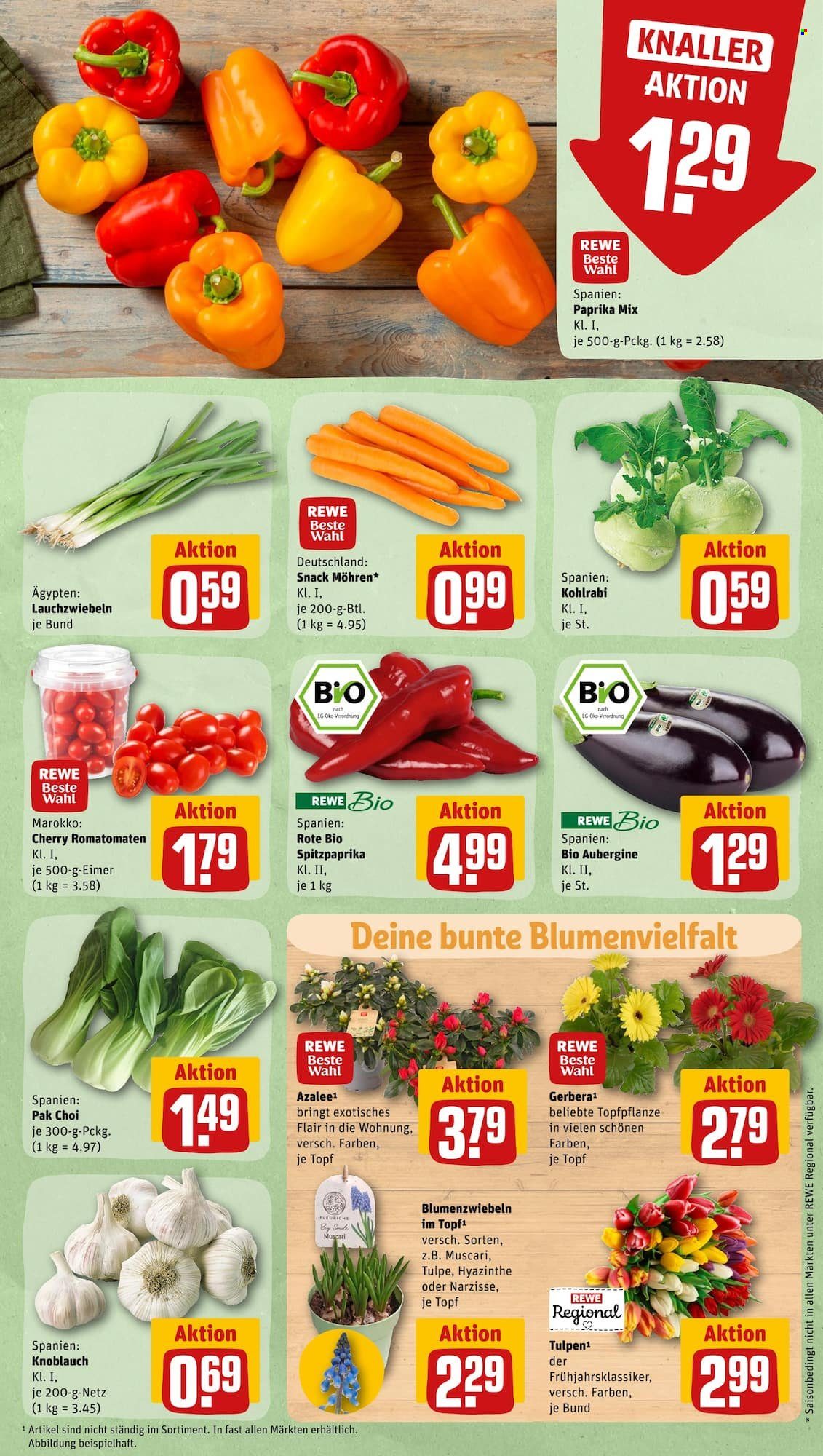 REWE Prospekte  - 16.01.2023 - 21.01.2023. Seite 3