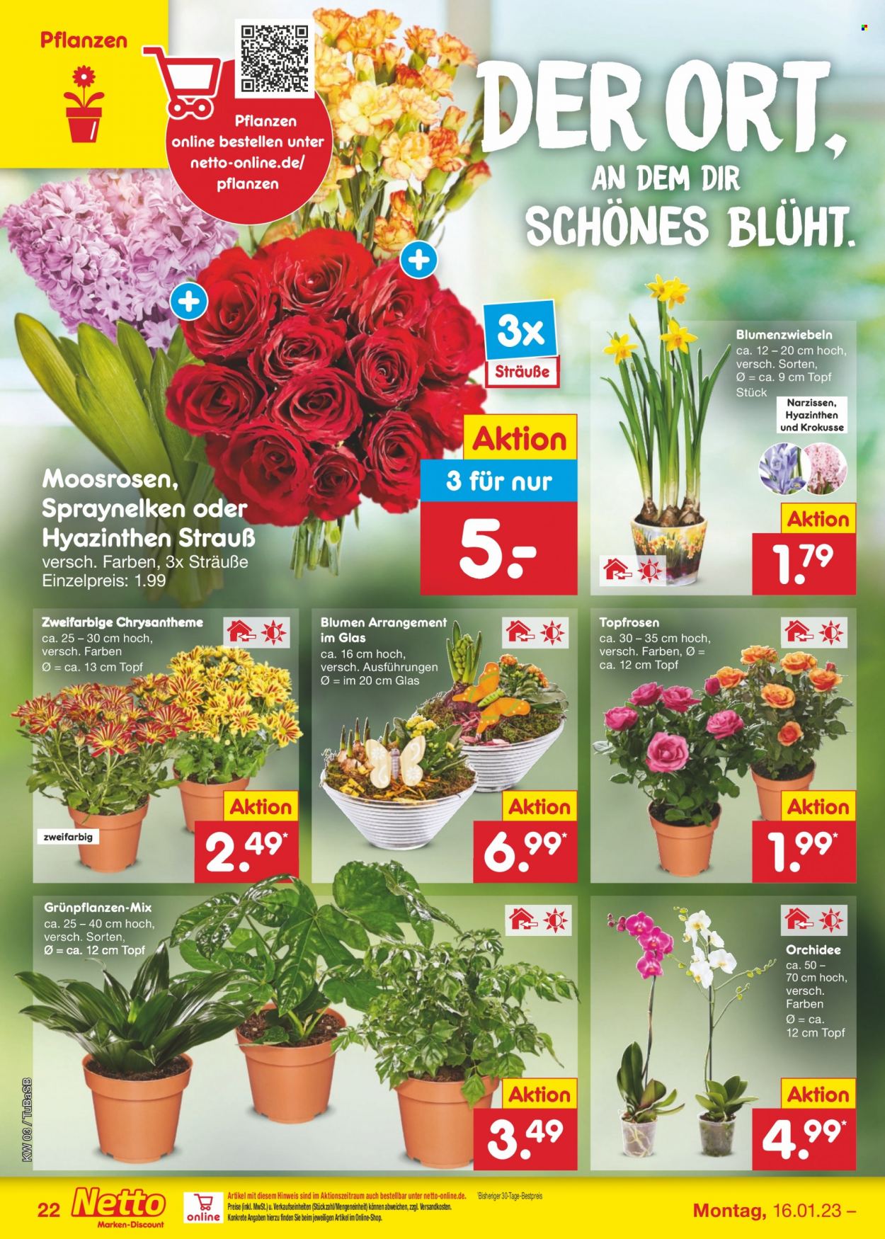Netto Marken-Discount Prospekte  - 16.01.2023 - 21.01.2023. Seite 22