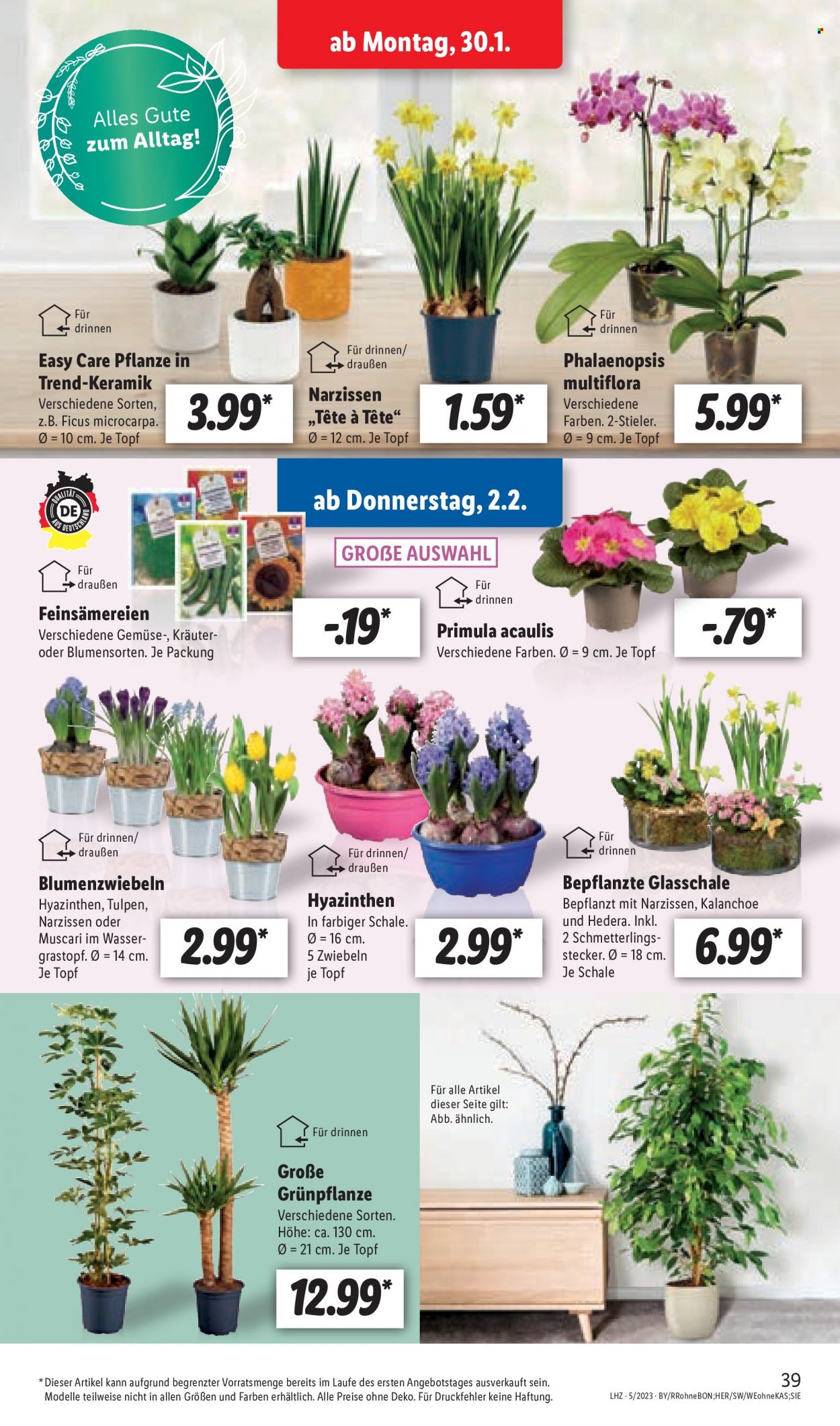 Lidl Prospekte  - 30.01.2023 - 4.02.2023. Seite 39