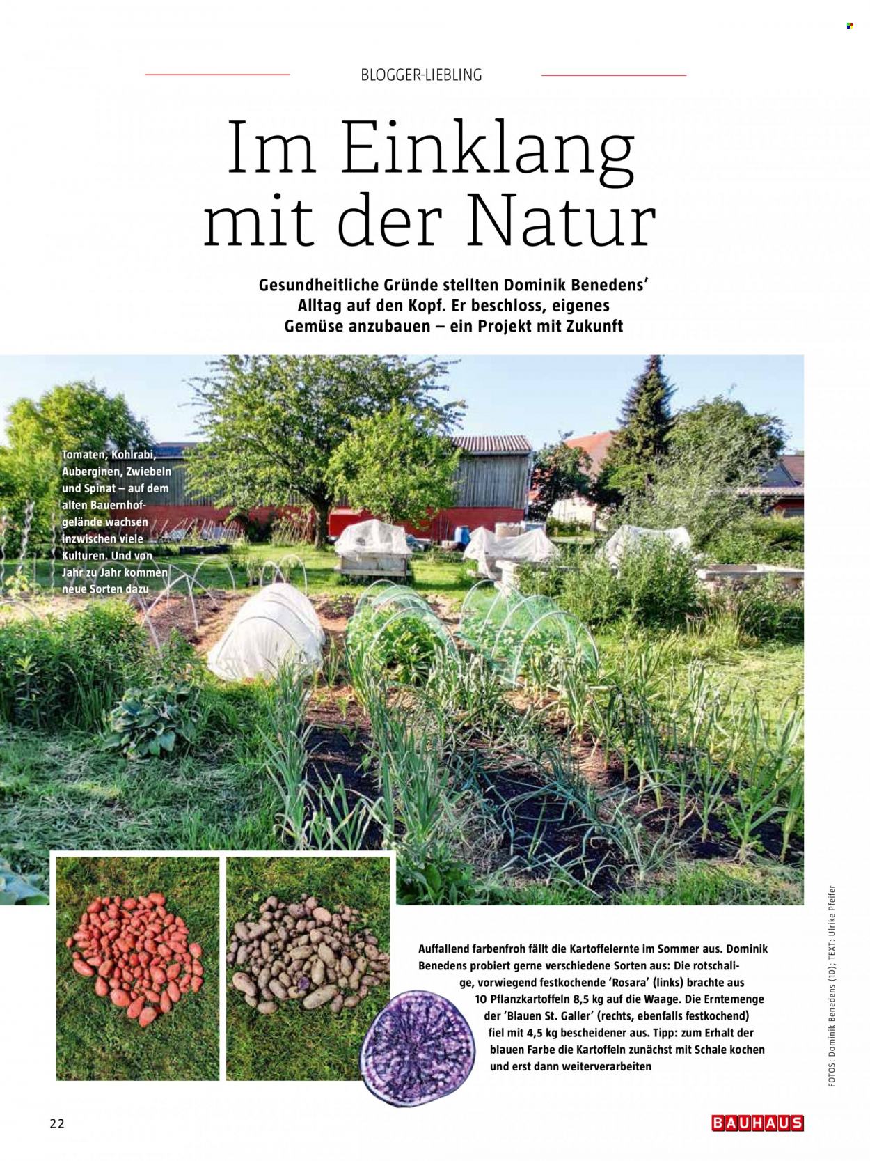 thumbnail - Prospekte Bauhaus - Produkte in Aktion - Waage, Tomaten. Seite 22.