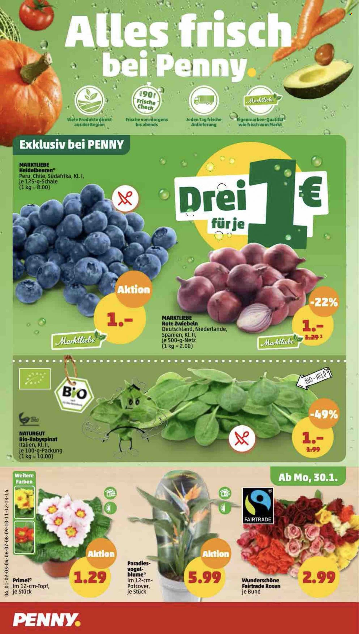 Penny Prospekte  - 30.01.2023 - 4.02.2023. Seite 4