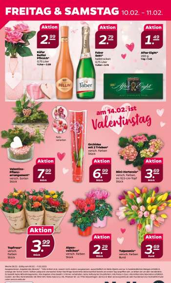 thumbnail - Valentins- Pflanz- arrangement*