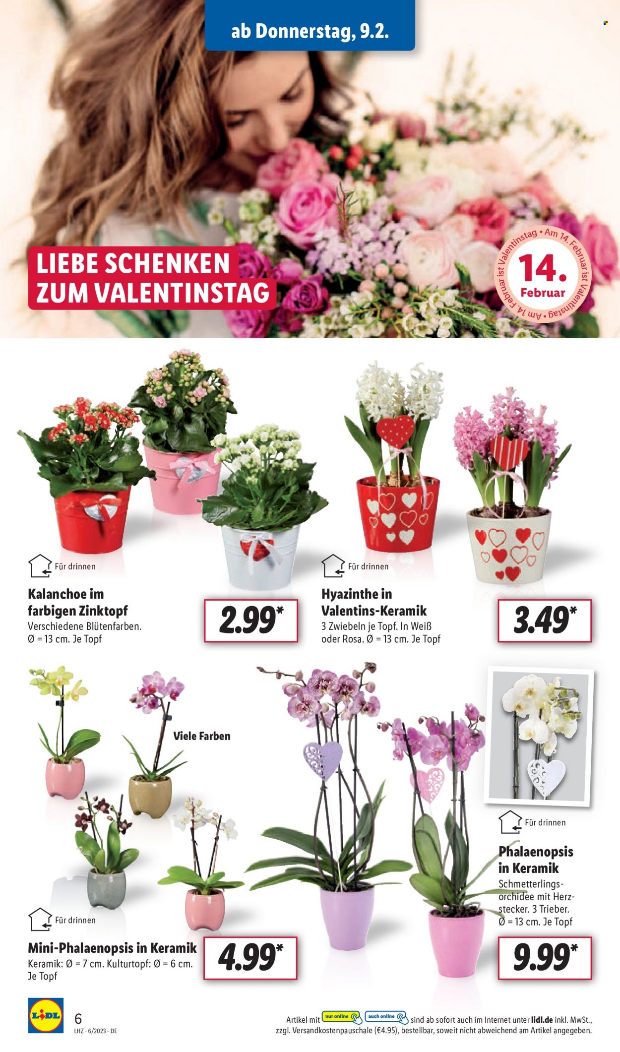 Lidl Prospekte  - 6.02.2023 - 11.02.2023. Seite 6