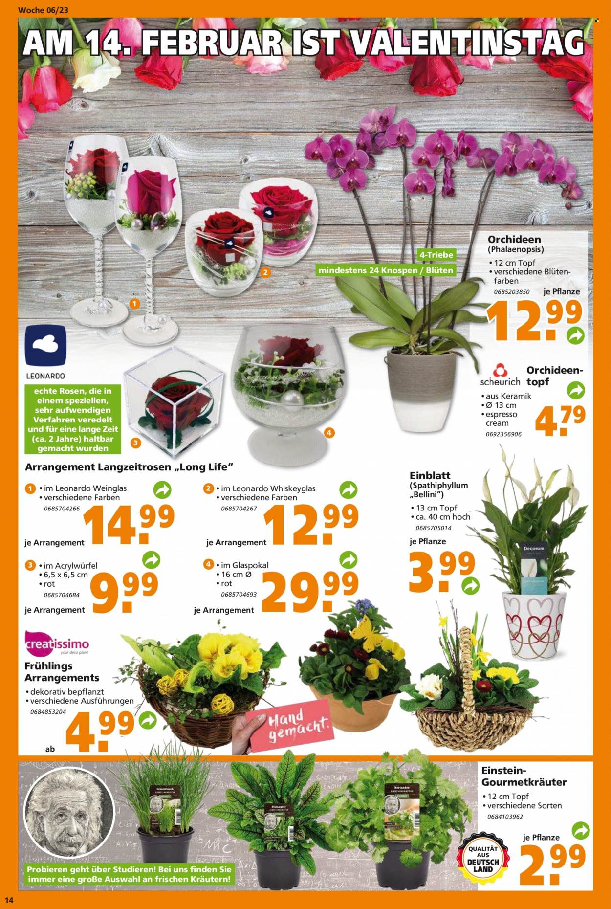 Globus Baumarkt Prospekte  - 6.02.2023 - 11.02.2023. Seite 14
