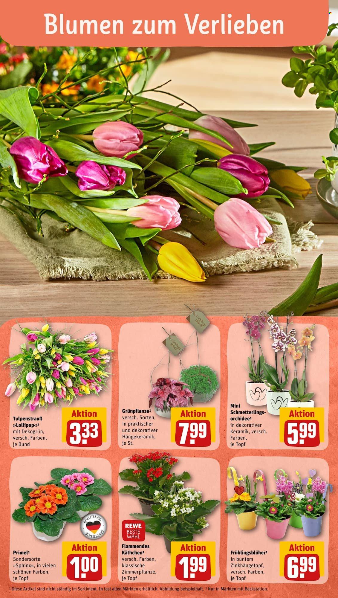 Leták REWE - 6.2.2023 - 11.2.2023. Strana 4