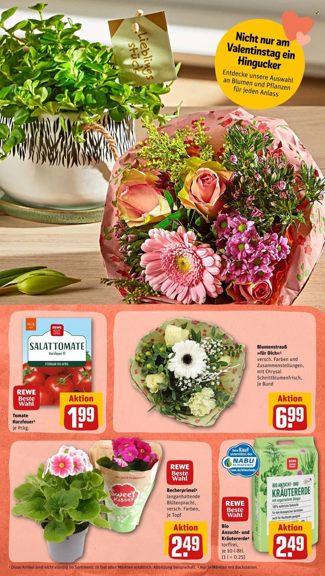 Leták REWE - 6.2.2023 - 11.2.2023. Strana 5