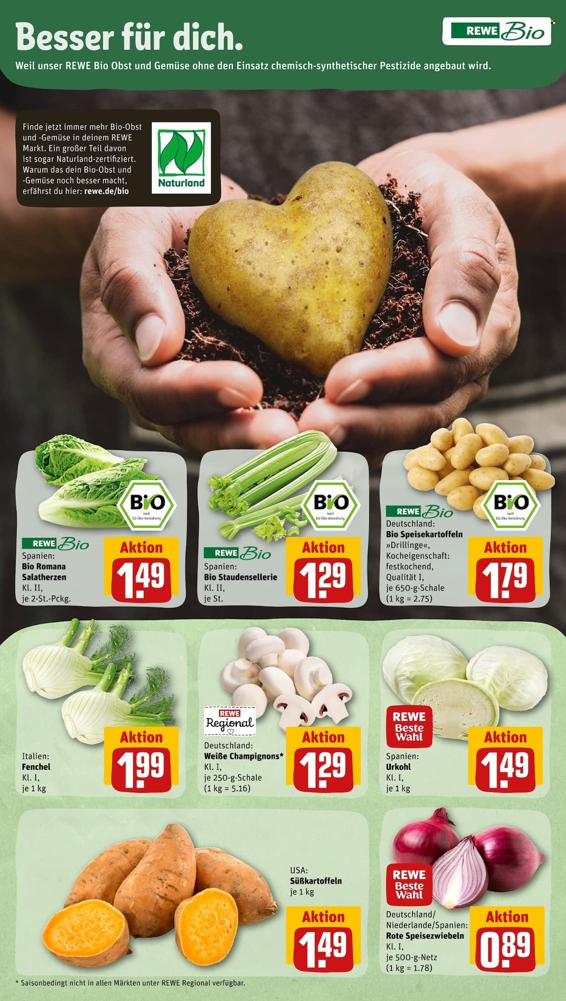 Leták REWE - 6.2.2023 - 11.2.2023. Strana 7