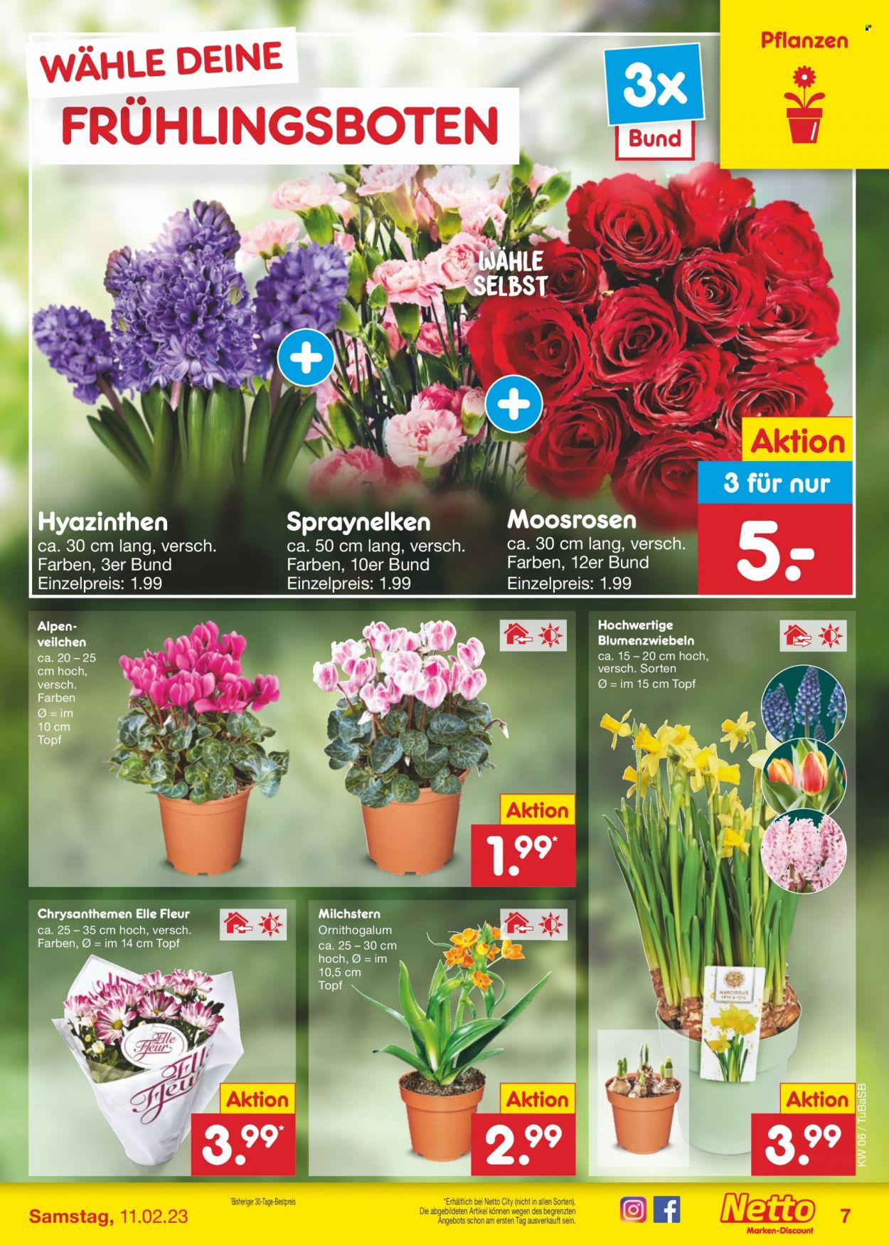 Netto Marken-Discount Prospekte  - 6.02.2023 - 11.02.2023. Seite 7
