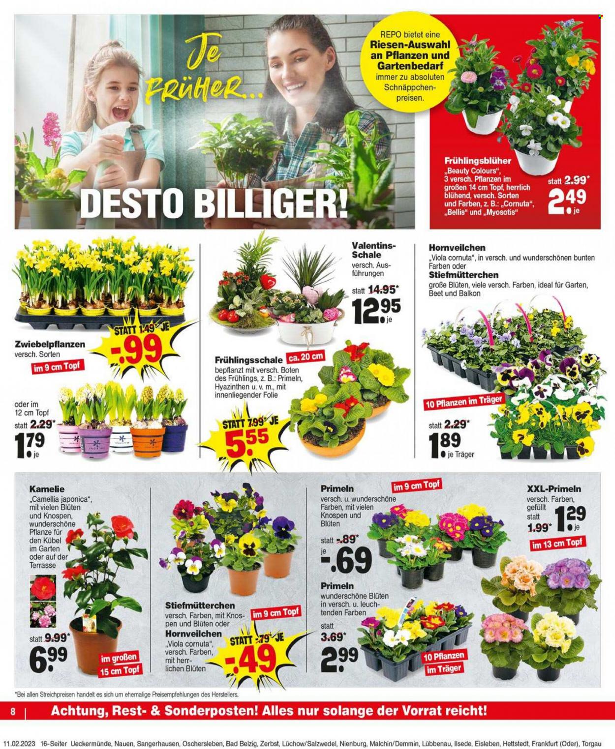 Repo Prospekte  - 13.02.2023 - 18.02.2023. Seite 8
