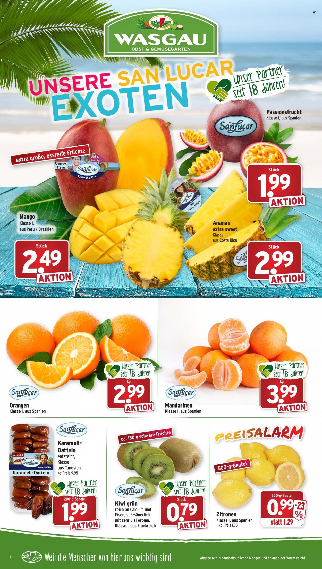 Wasgau Prospekte  - 13.02.2023 - 18.02.2023. Seite 8