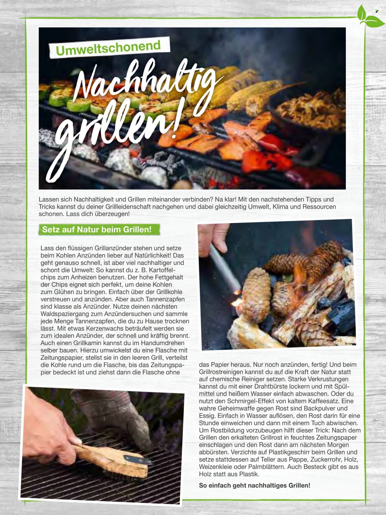 thumbnail - Prospekte toom Baumarkt - Produkte in Aktion - Reiniger, Besteck, Teller, Grill, Grillkohle, Grillanzünder. Seite 126.