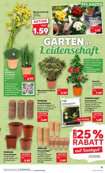 thumbnail - Wachsblume-Busch