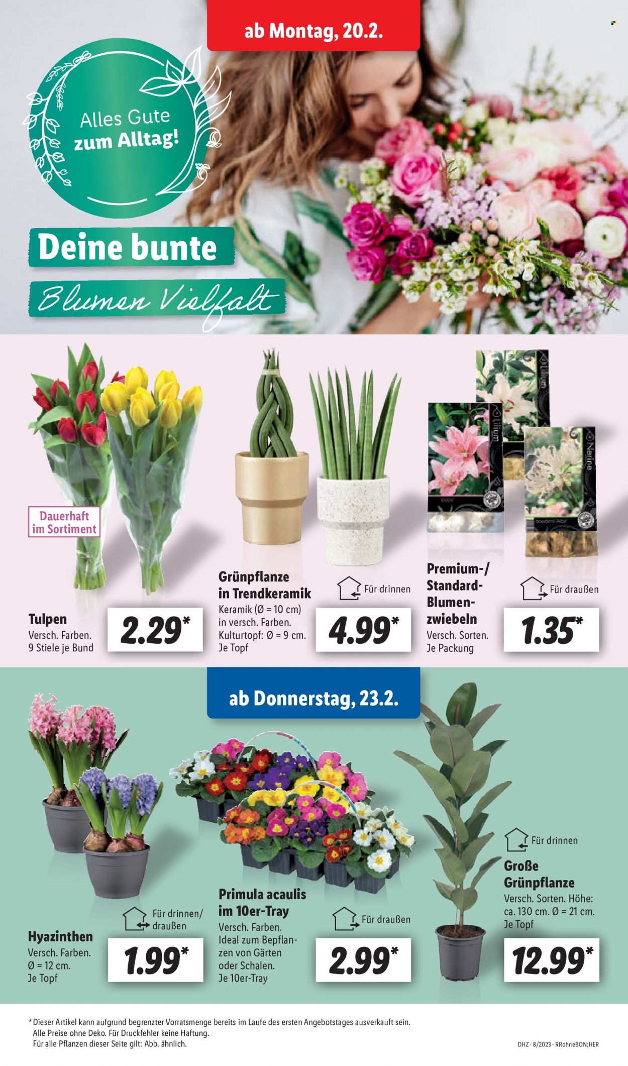 Lidl Prospekte  - 20.02.2023 - 25.02.2023. Seite 57
