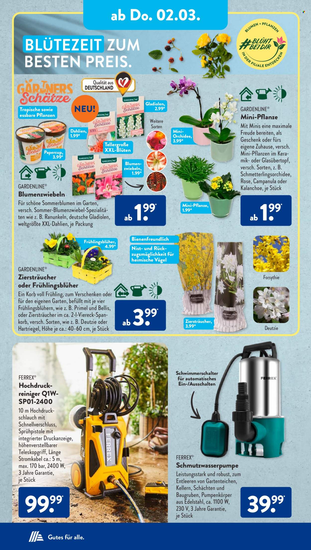 ALDI SÜD Prospekte  - 27.02.2023 - 4.03.2023. Seite 27