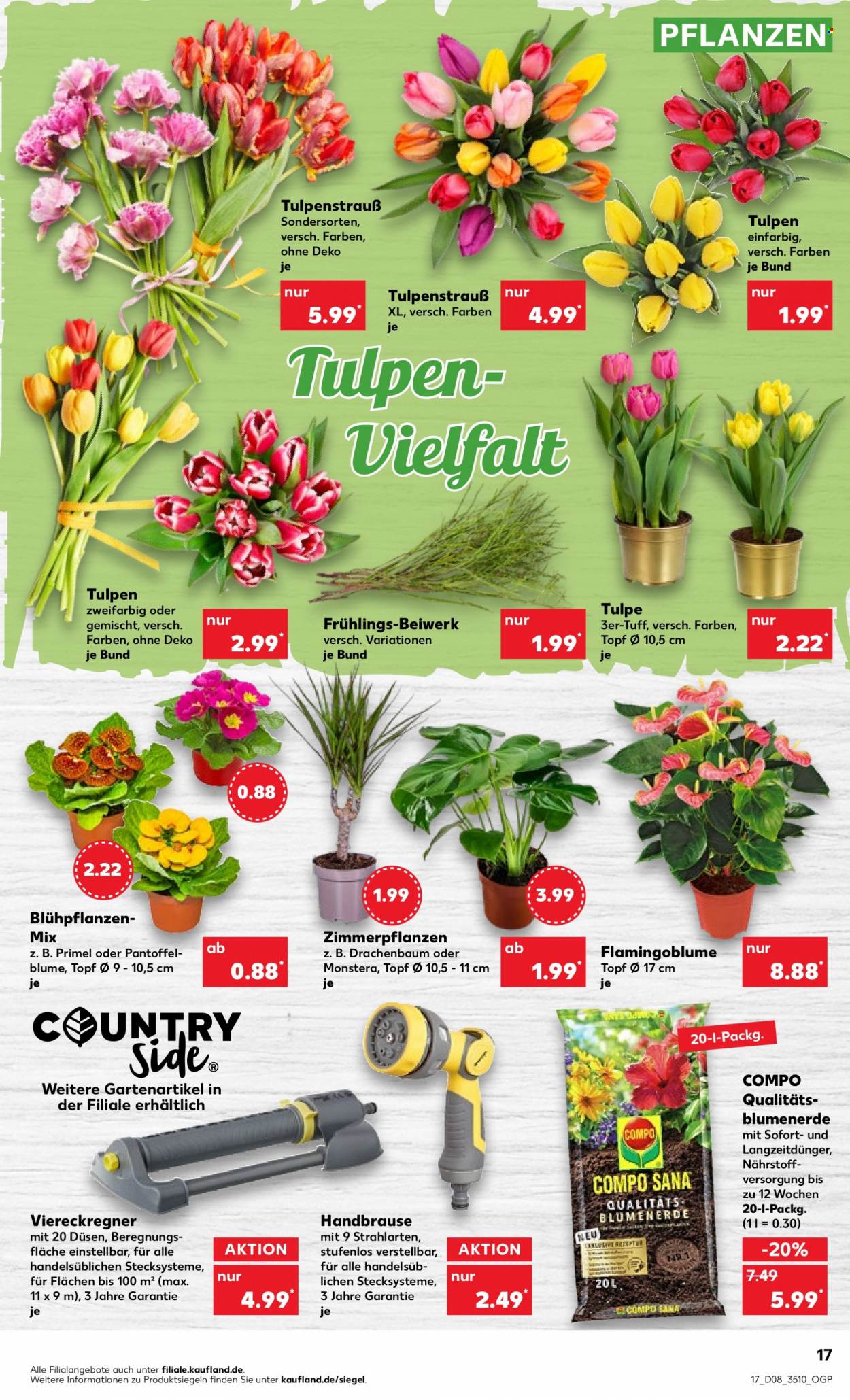 Kaufland Prospekte  - 23.02.2023 - 1.03.2023. Seite 17