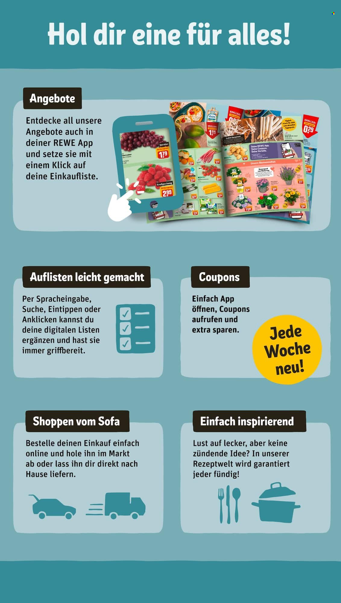 REWE Prospekte  - 20.02.2023 - 25.02.2023. Seite 17
