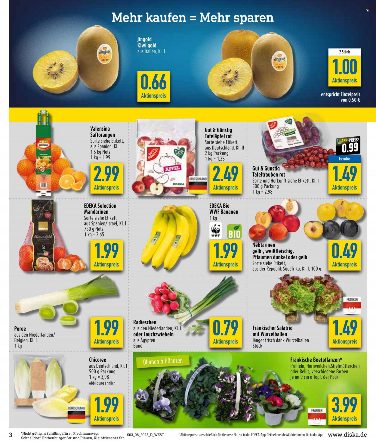 Diska Prospekte  - 20.02.2023 - 25.02.2023. Seite 3