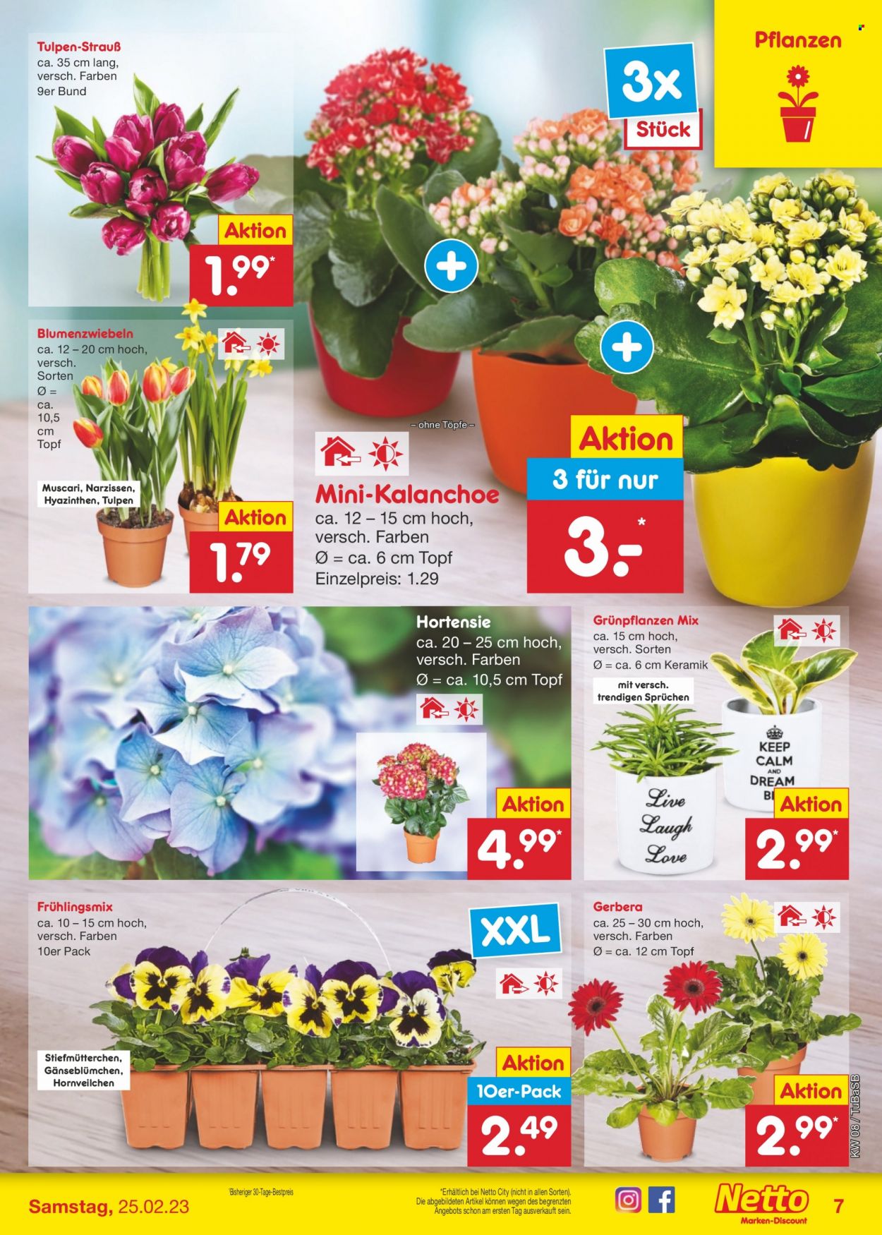 Netto Marken-Discount Prospekte  - 20.02.2023 - 25.02.2023. Seite 7