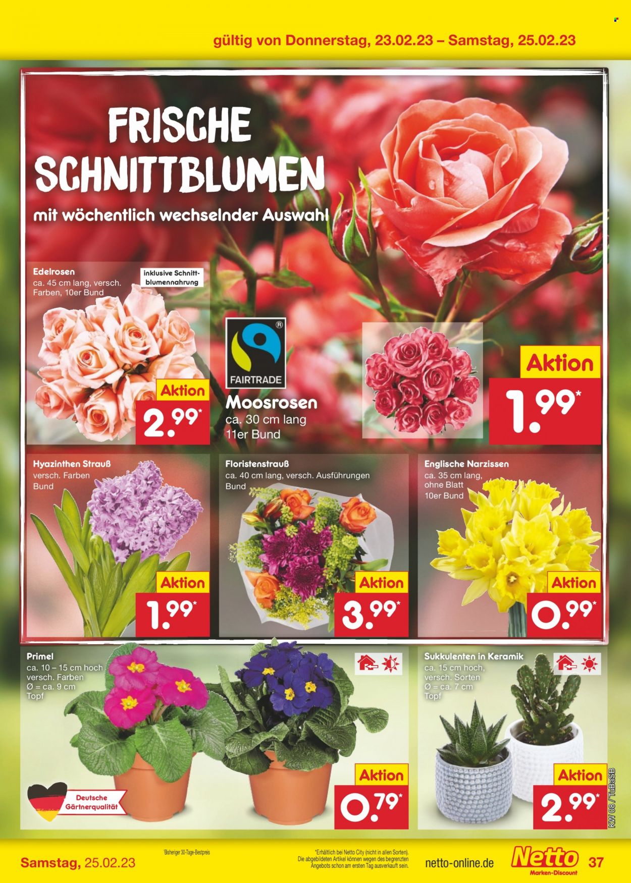 Netto Marken-Discount Prospekte  - 20.02.2023 - 25.02.2023. Seite 37