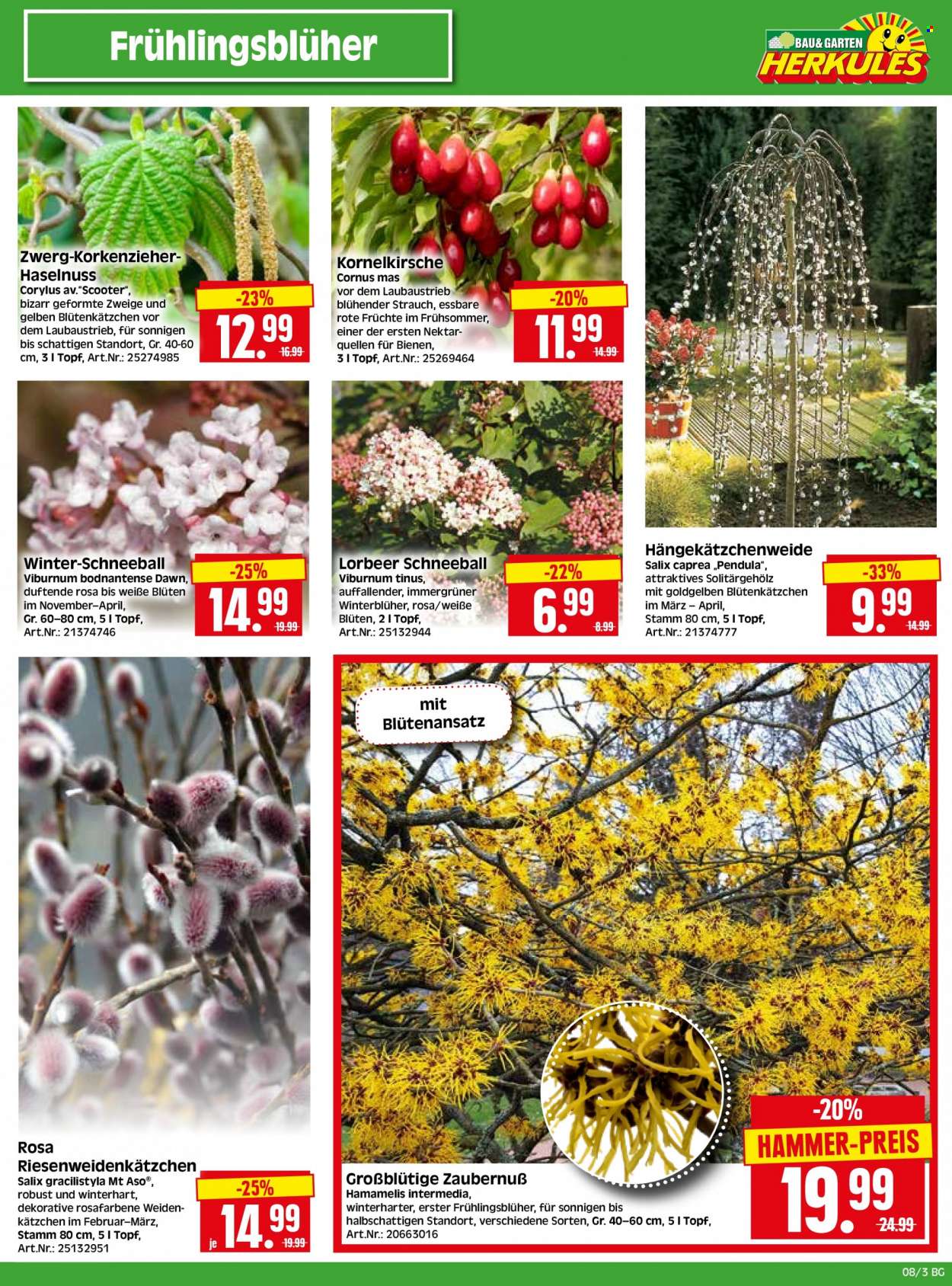 Edeka Prospekte  - 20.02.2023 - 25.02.2023. Seite 19