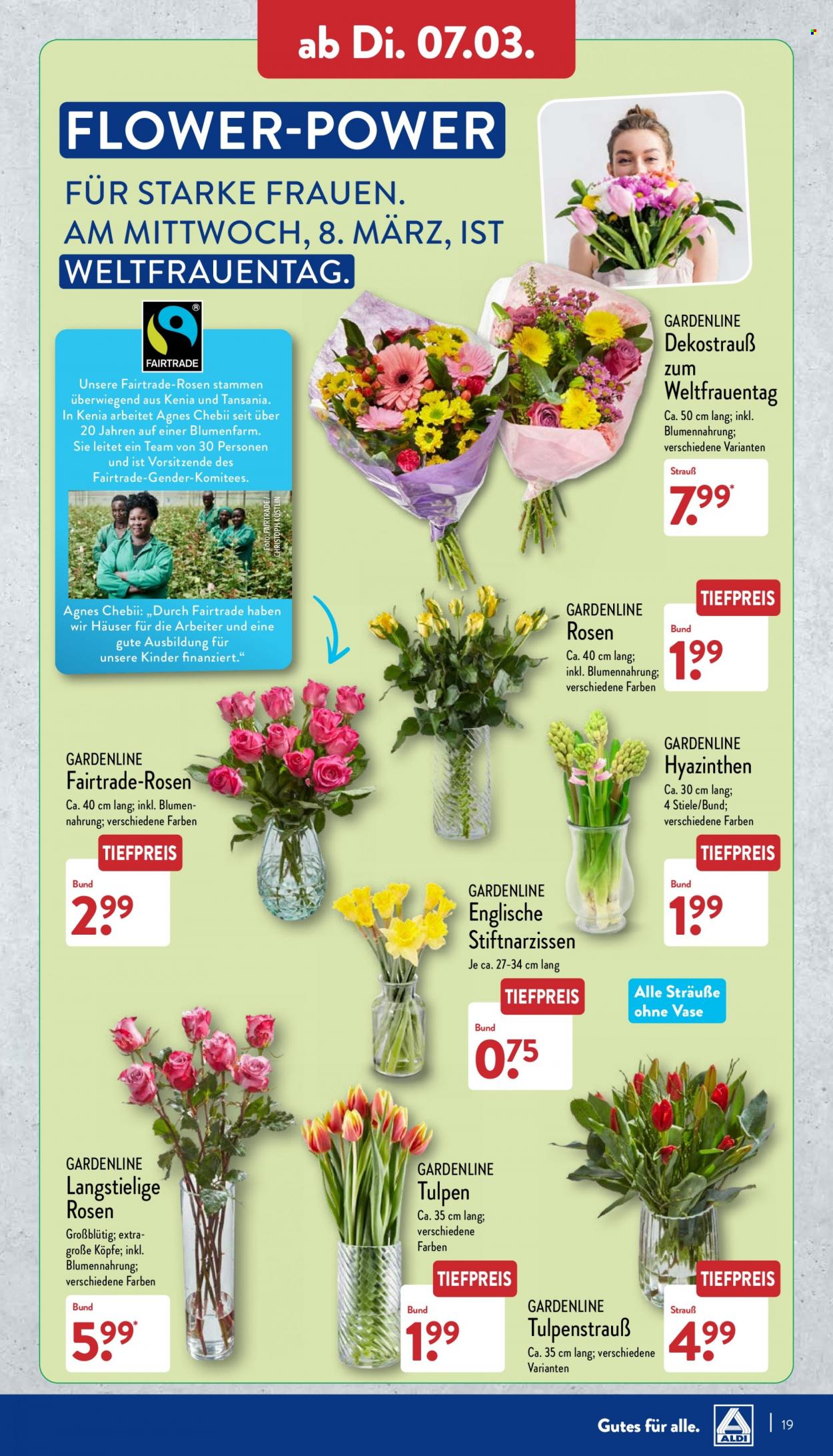 ALDI Nord Prospekte  - 6.03.2023 - 11.03.2023. Seite 19