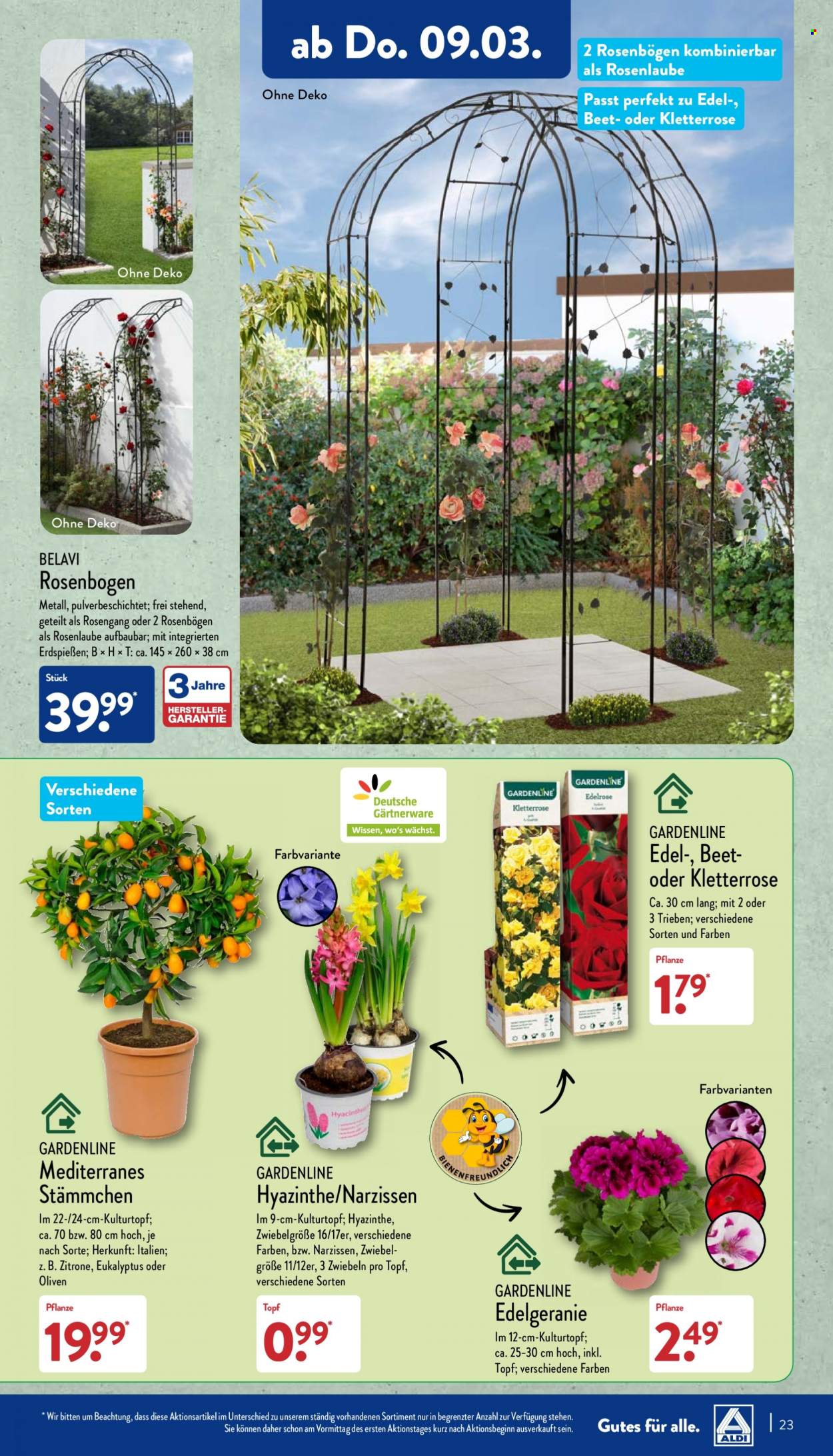 ALDI Nord Prospekte  - 6.03.2023 - 11.03.2023. Seite 23