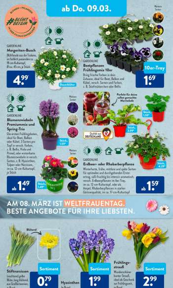 thumbnail - GARDENLINE Blumenzwiebeln Premiummix und Spring-Trio