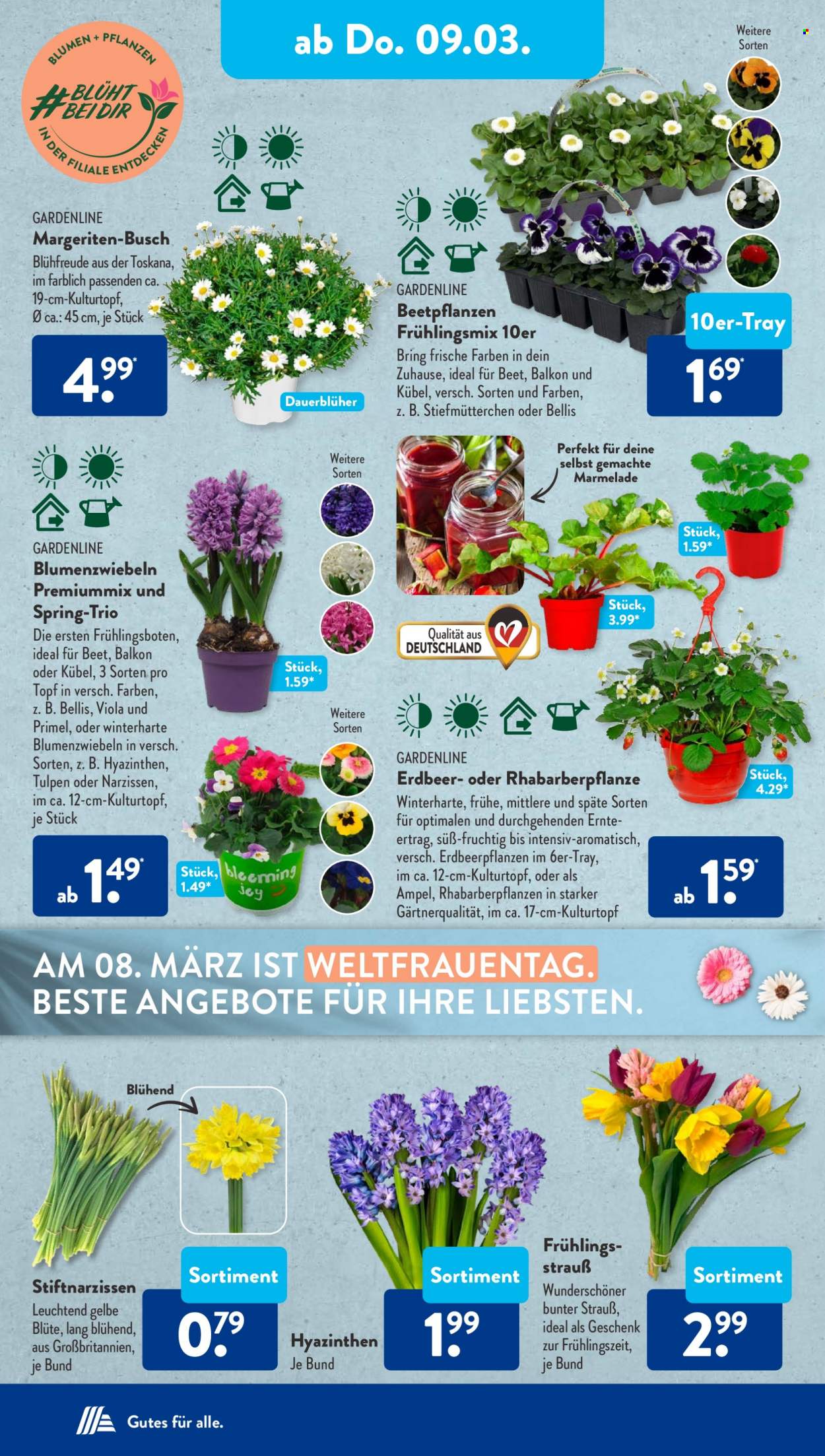 ALDI SÜD Prospekte  - 6.03.2023 - 11.03.2023. Seite 25