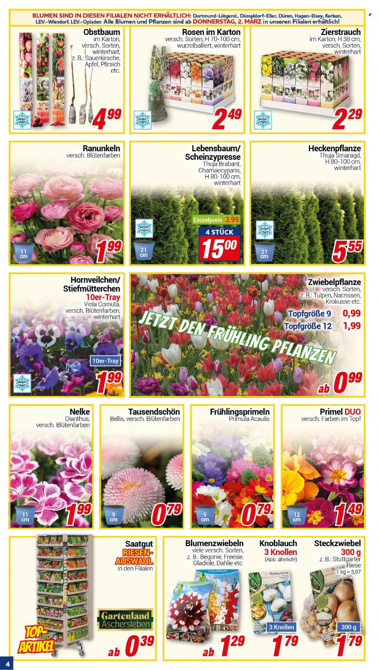 CENTERSHOP Prospekte  - 27.02.2023 - 4.03.2023. Seite 4