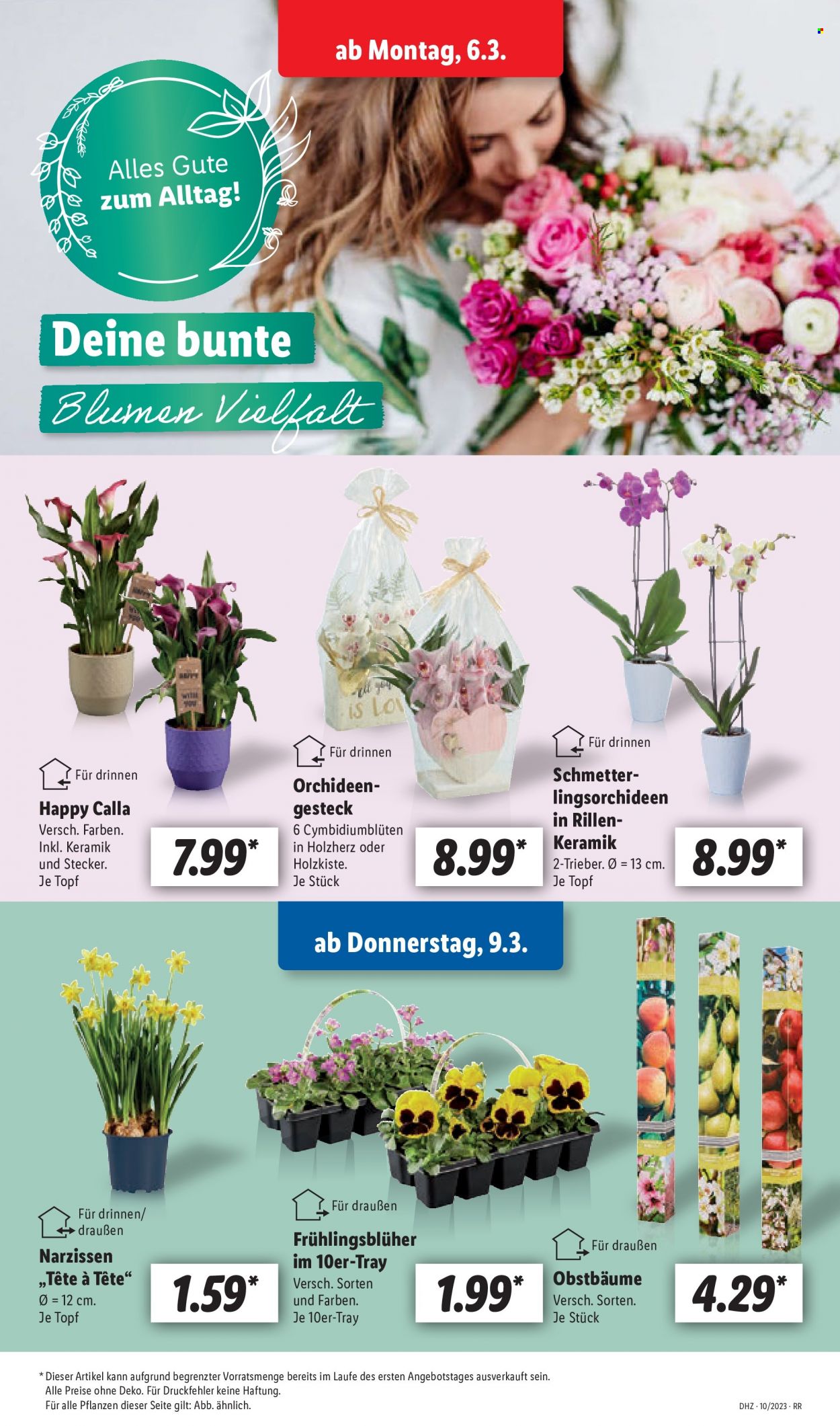 Lidl Prospekte  - 6.03.2023 - 11.03.2023. Seite 53