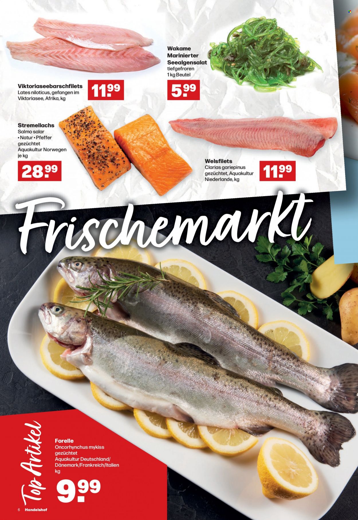 Handelshof Prospekte  - 9.03.2023 - 15.03.2023. Seite 6