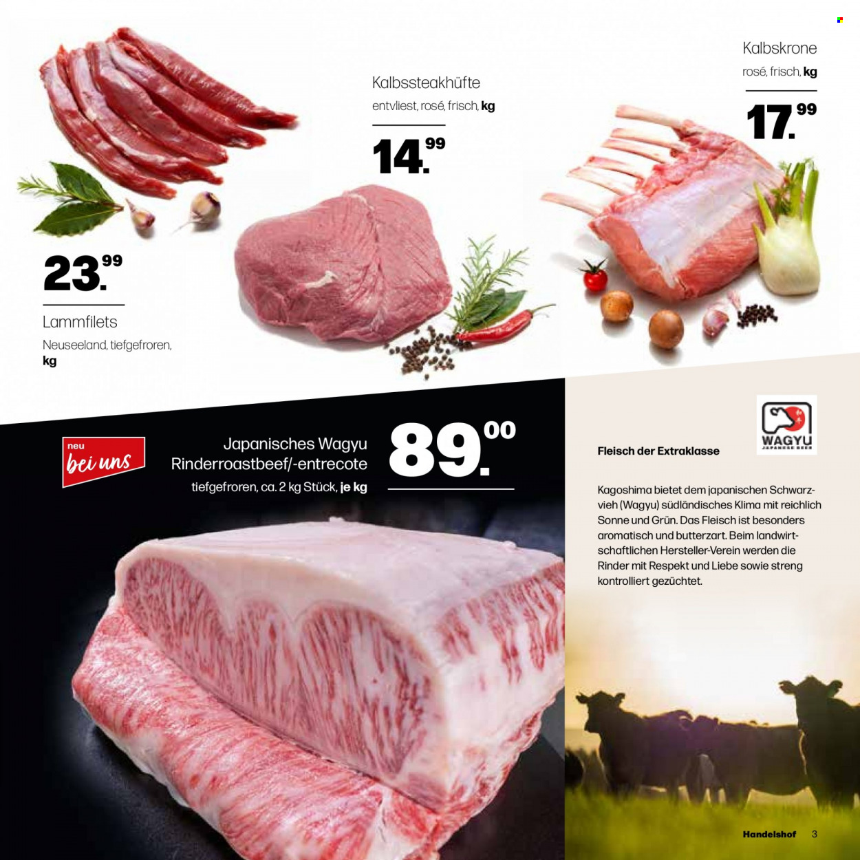Handelshof Prospekte  - 9.03.2023 - 8.04.2023. Seite 3