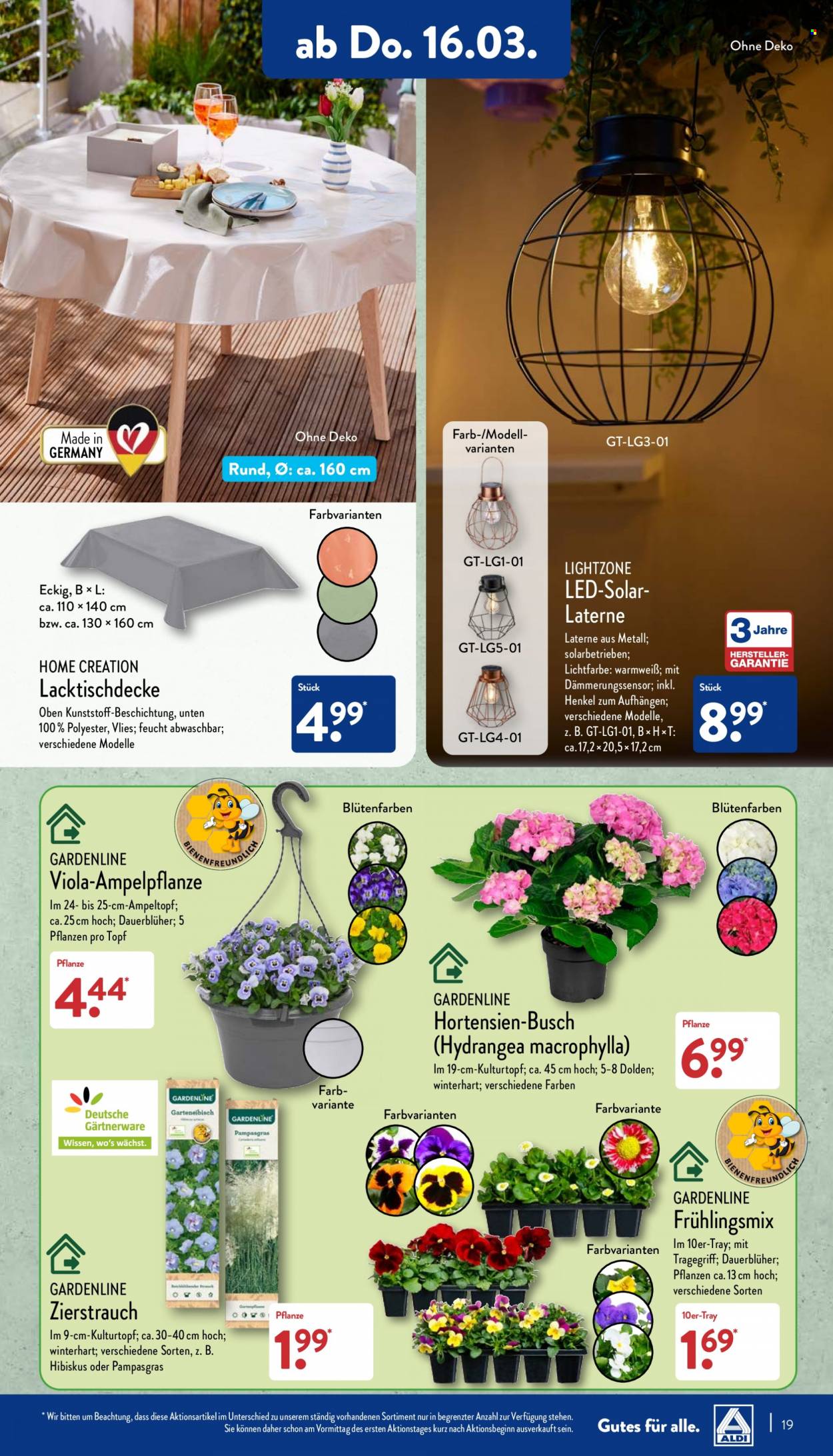 ALDI Nord Prospekte  - 13.03.2023 - 18.03.2023. Seite 19