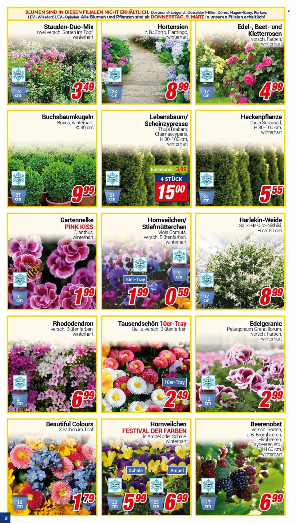 CENTERSHOP Prospekte  - 6.03.2023 - 11.03.2023. Seite 2