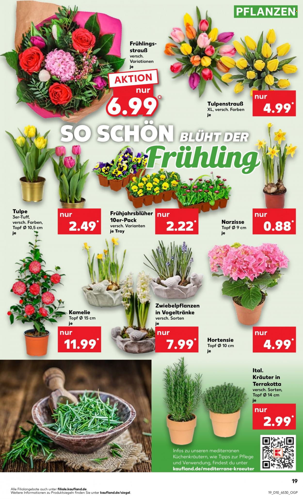 Kaufland Prospekte  - 9.03.2023 - 15.03.2023. Seite 19