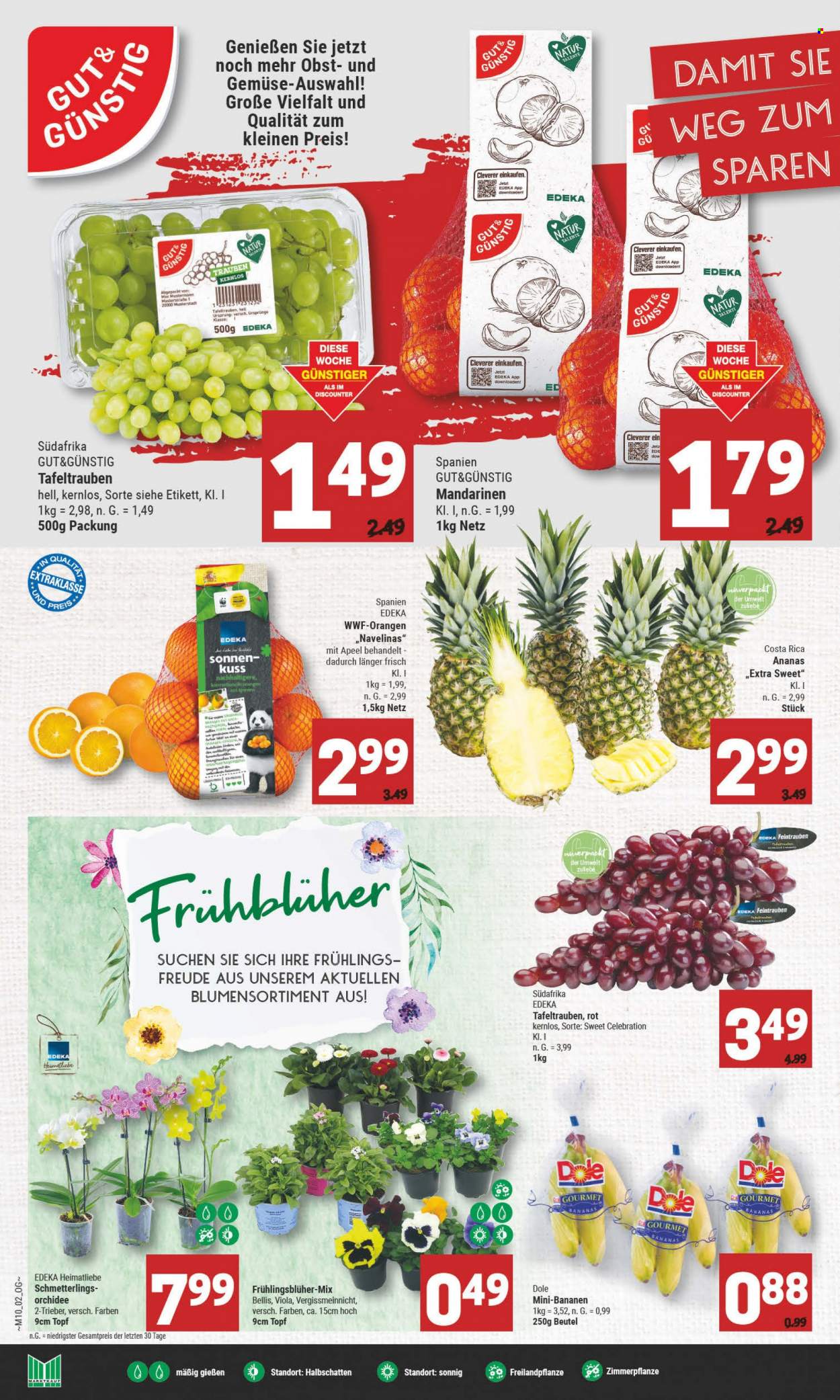 Marktkauf Prospekte  - 6.03.2023 - 11.03.2023. Seite 2