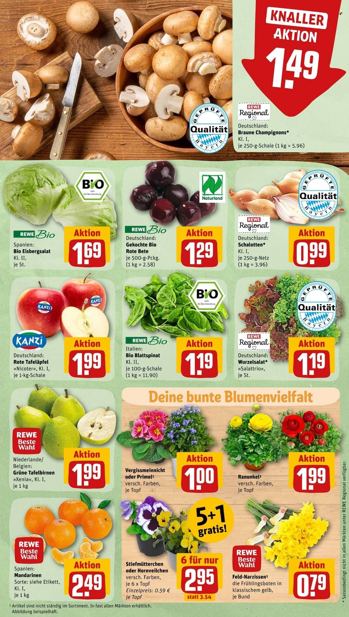 REWE Prospekte  - 6.03.2023 - 12.03.2023. Seite 5